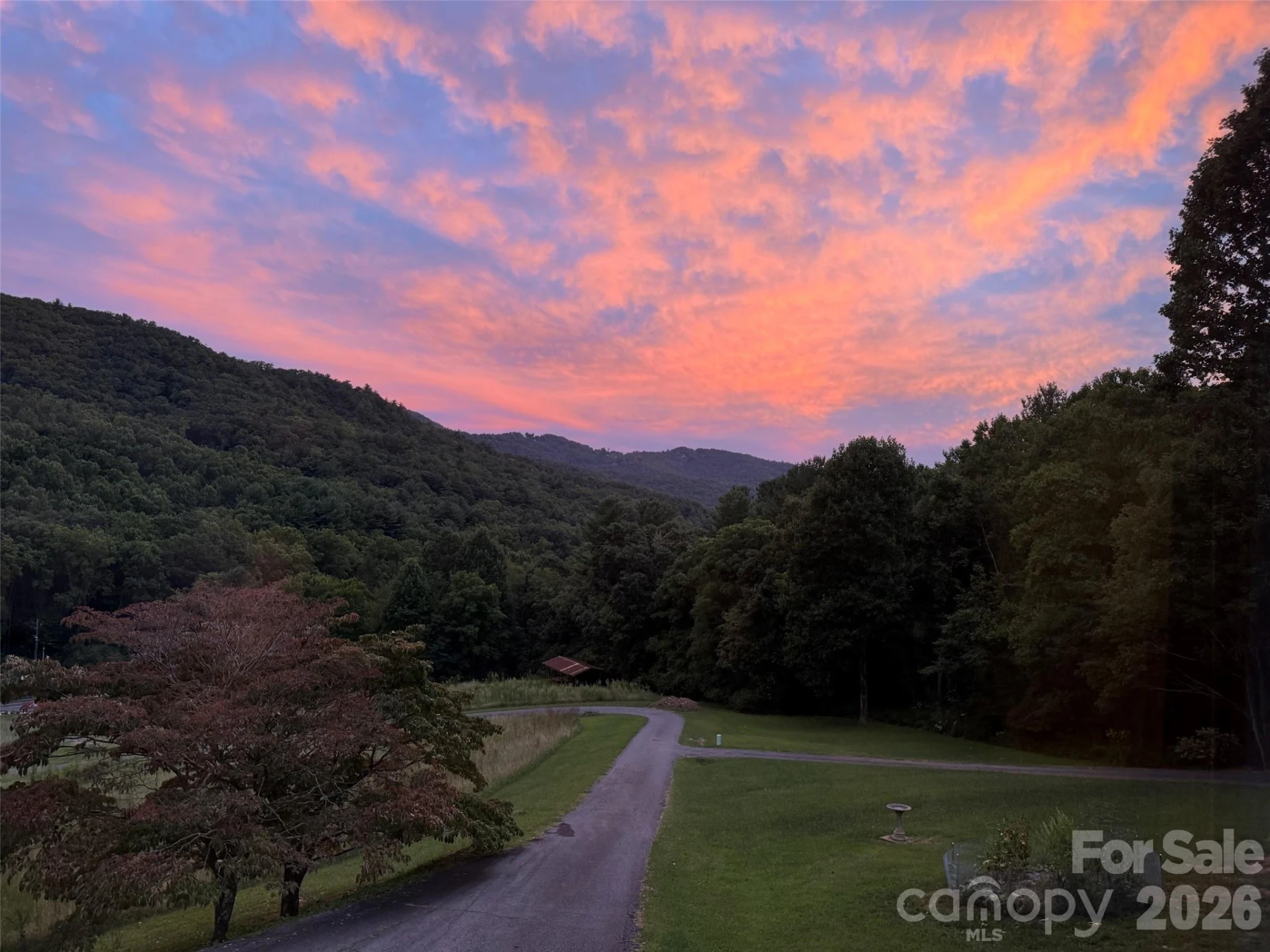 250 Lynn Cove Road - Photo 45