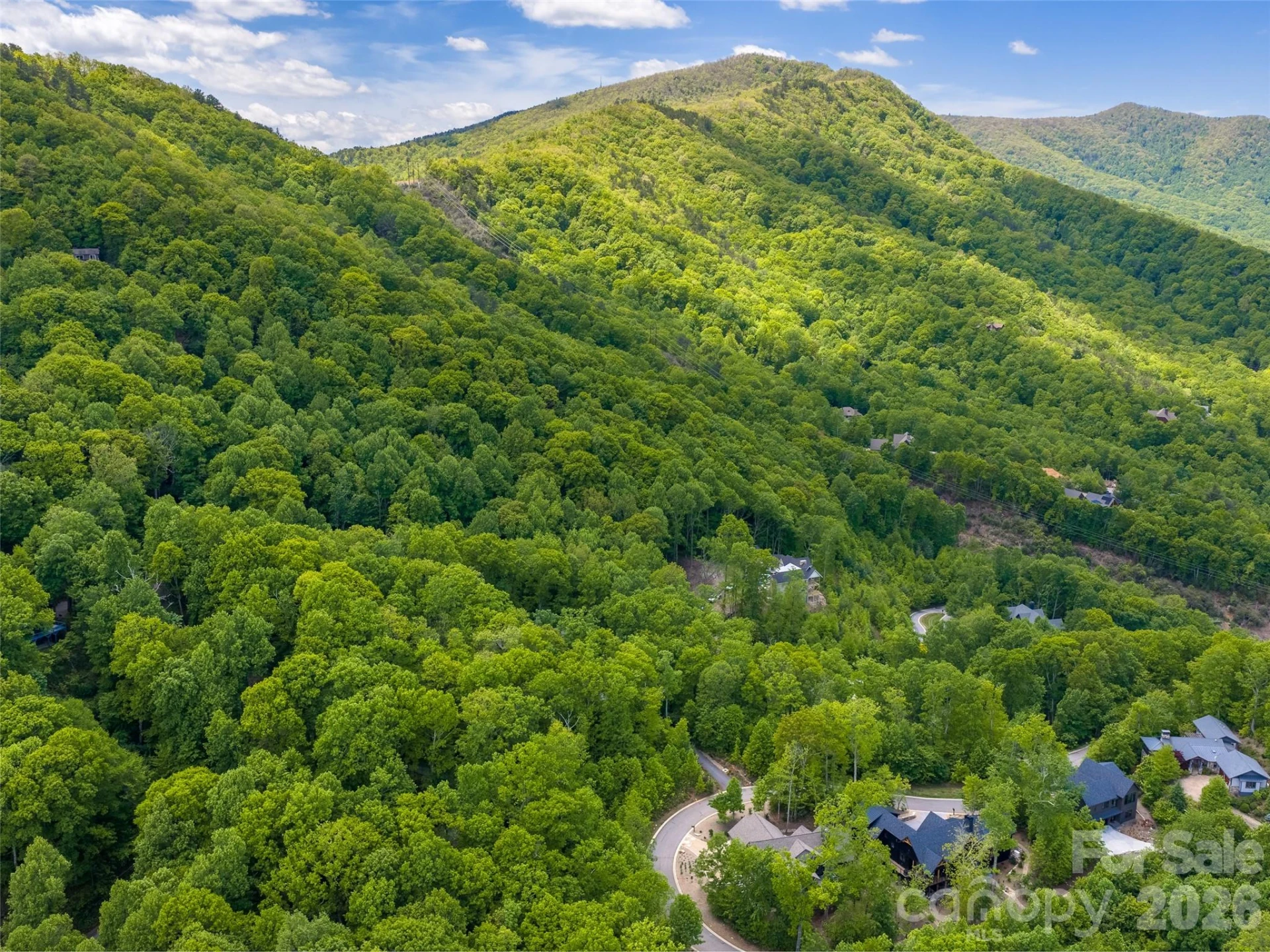 9 Crockett Ridge Road - Photo 9