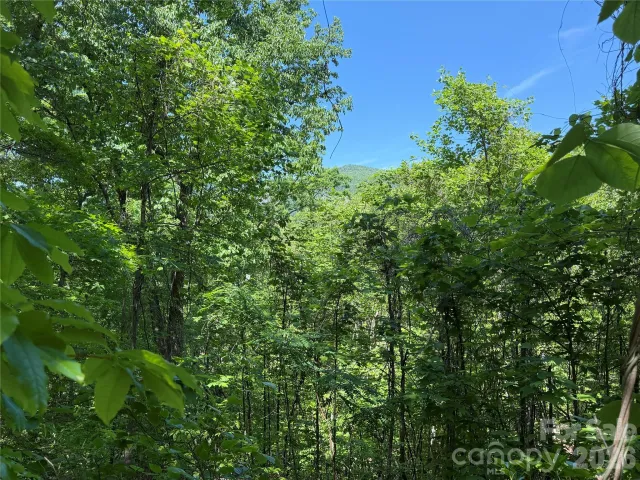 0 Buffalo Shoals Road