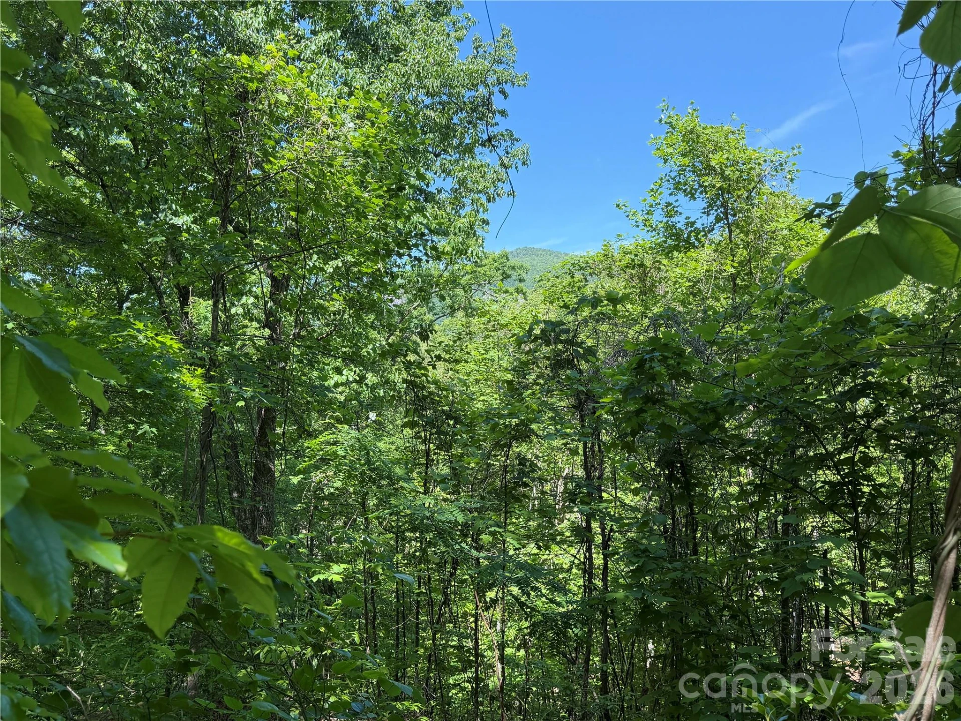 0 Buffalo Shoals Road #1