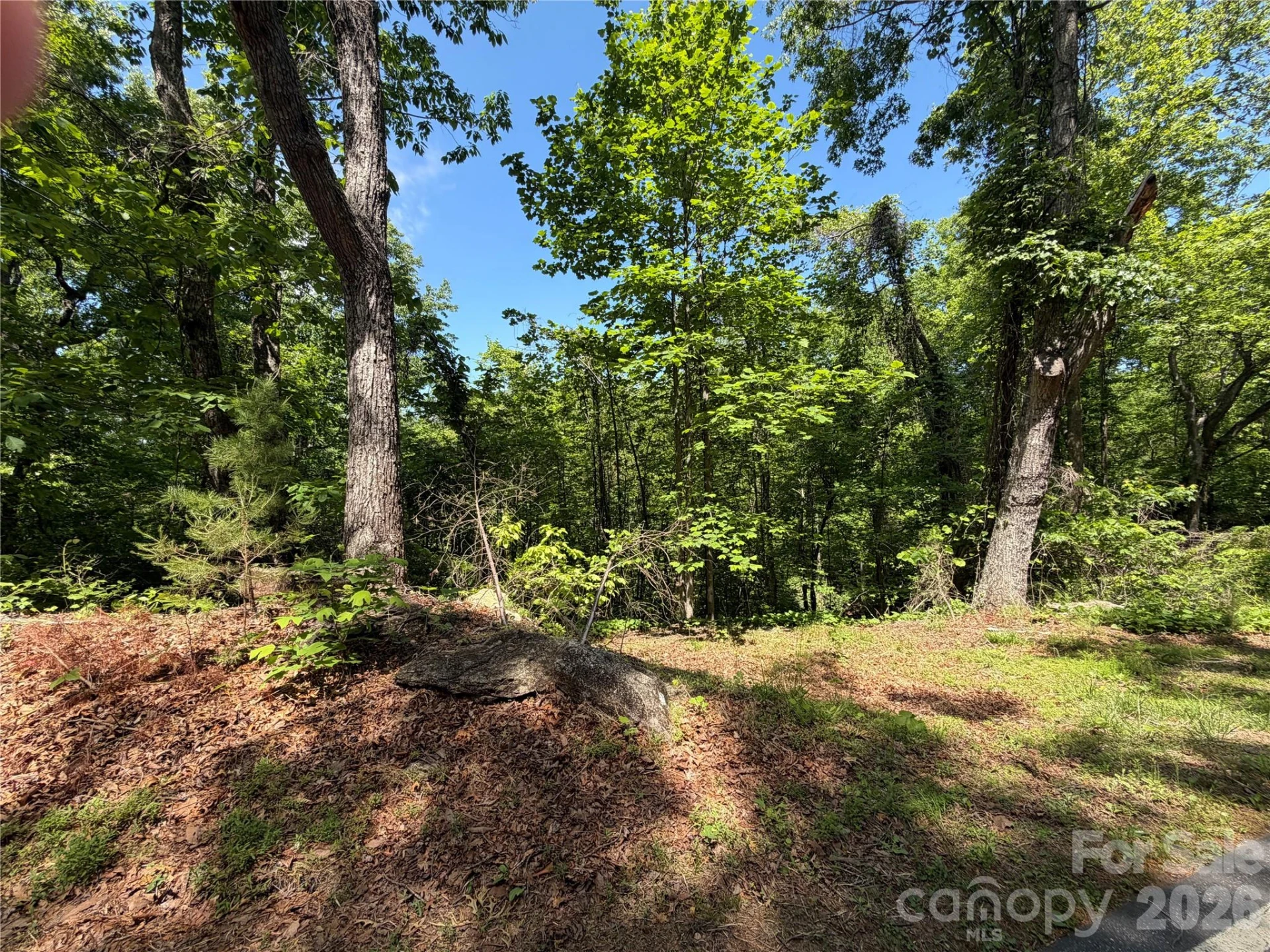 0 Buffalo Shoals Road #1 - Photo 2