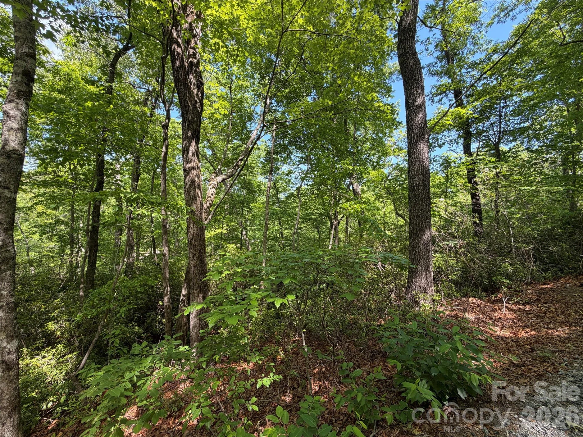 0 Buffalo Shoals Road #1 - Photo 3