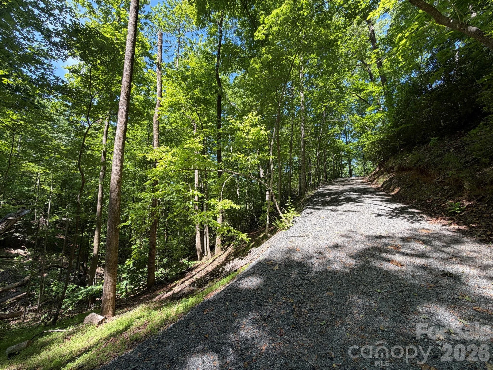 0 Buffalo Shoals Road #1 - Photo 4
