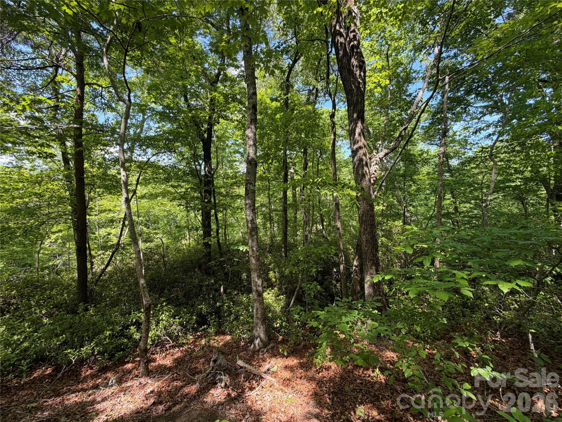 0 Buffalo Shoals Road #1 - Photo 5