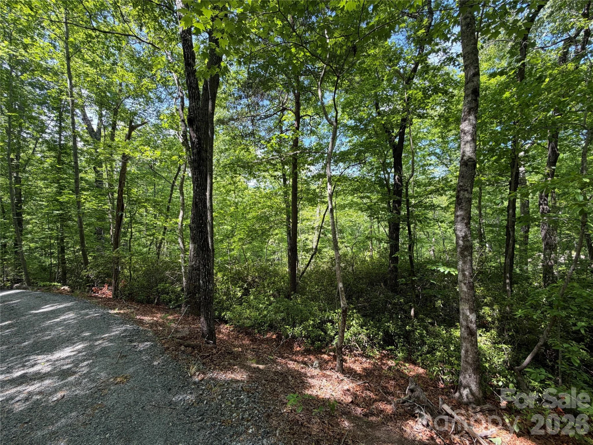 0 Buffalo Shoals Road #1 - Photo 6