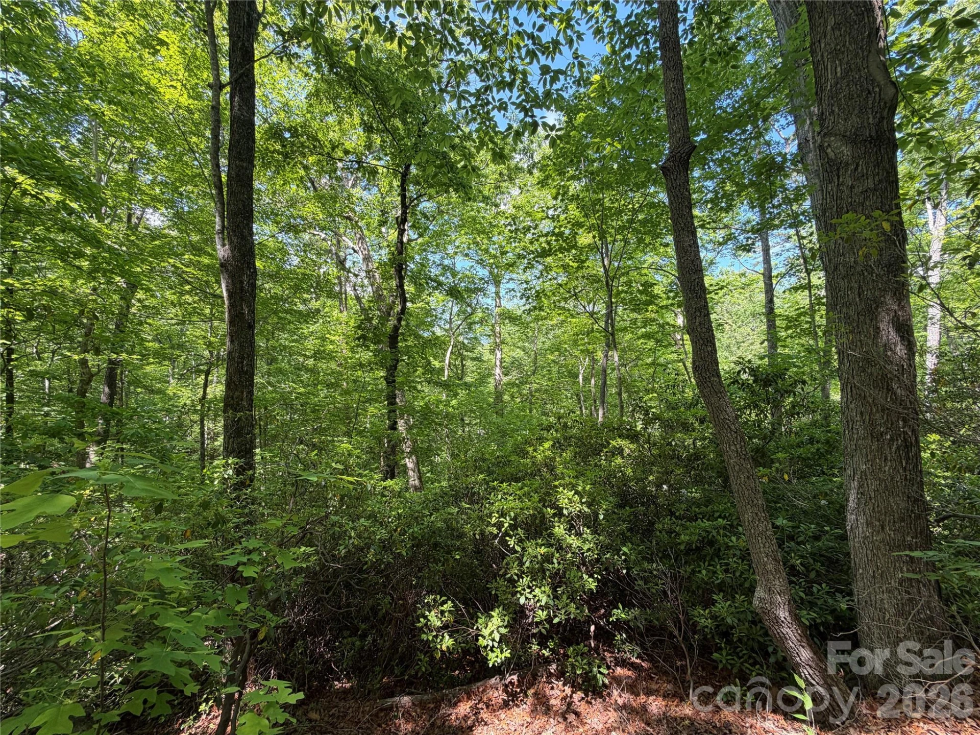 0 Buffalo Shoals Road #1 - Photo 7
