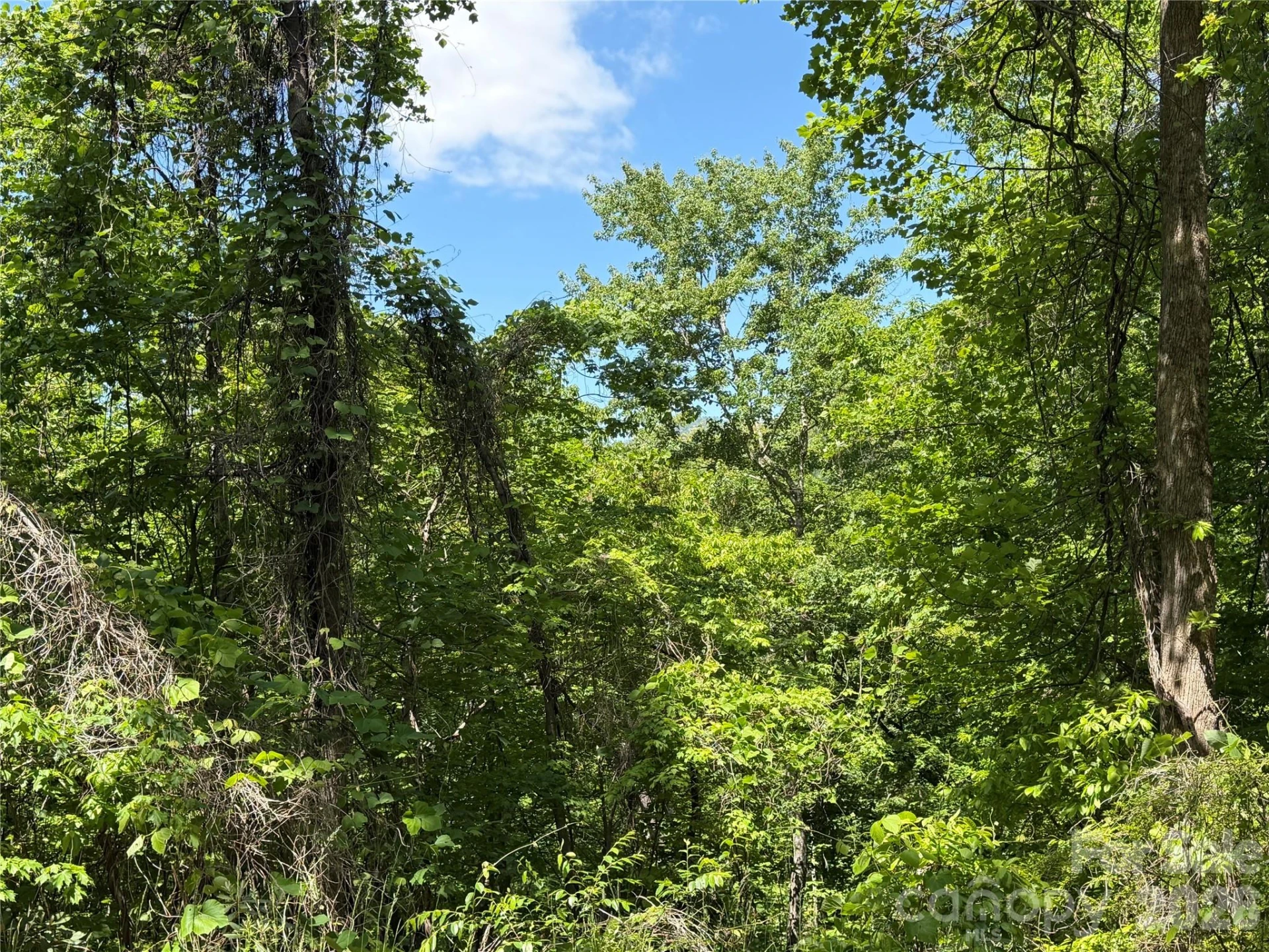 0 Buffalo Shoals Road #1 - Photo 8