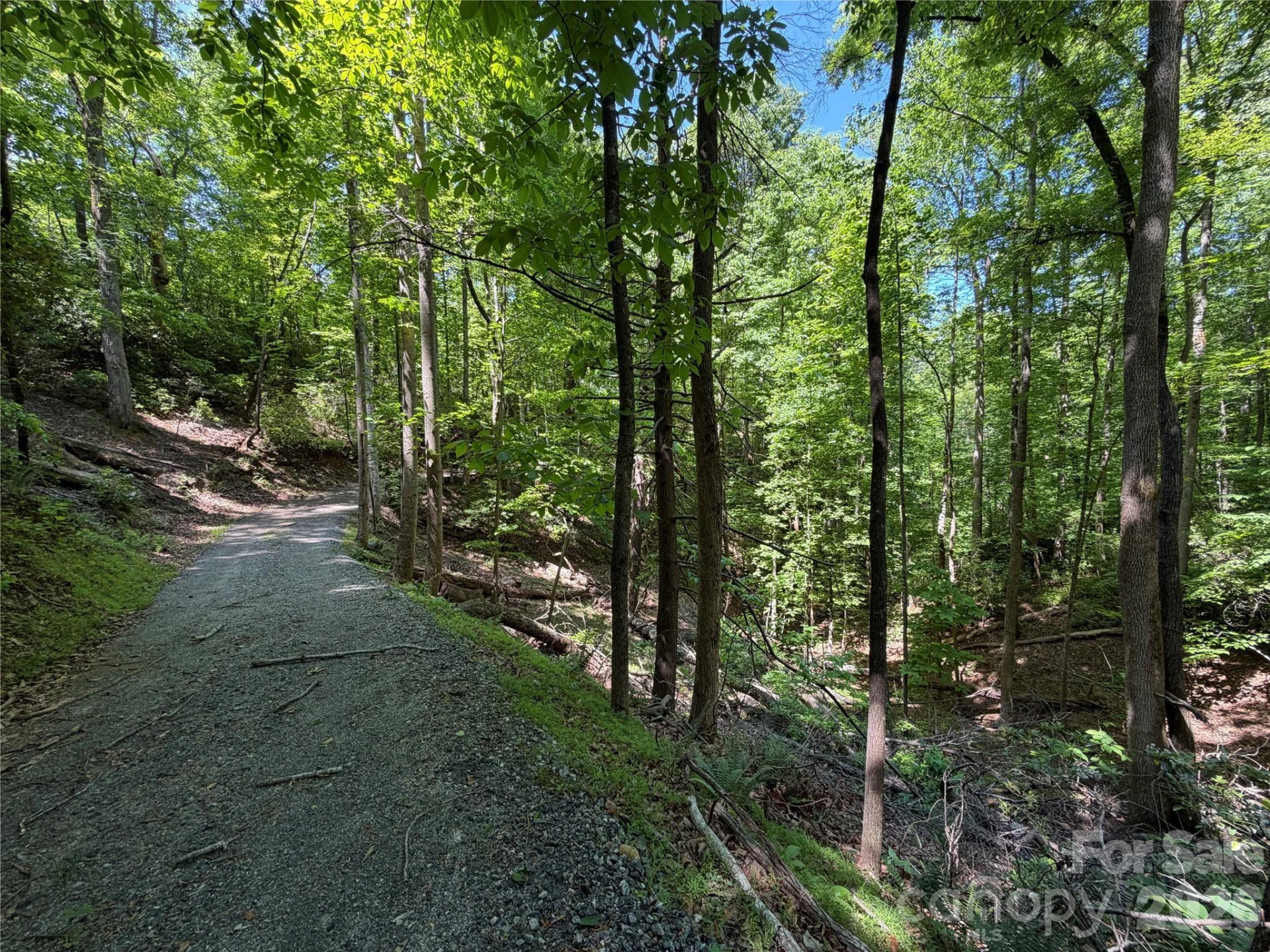 0 Buffalo Shoals Road #1 - Photo 9