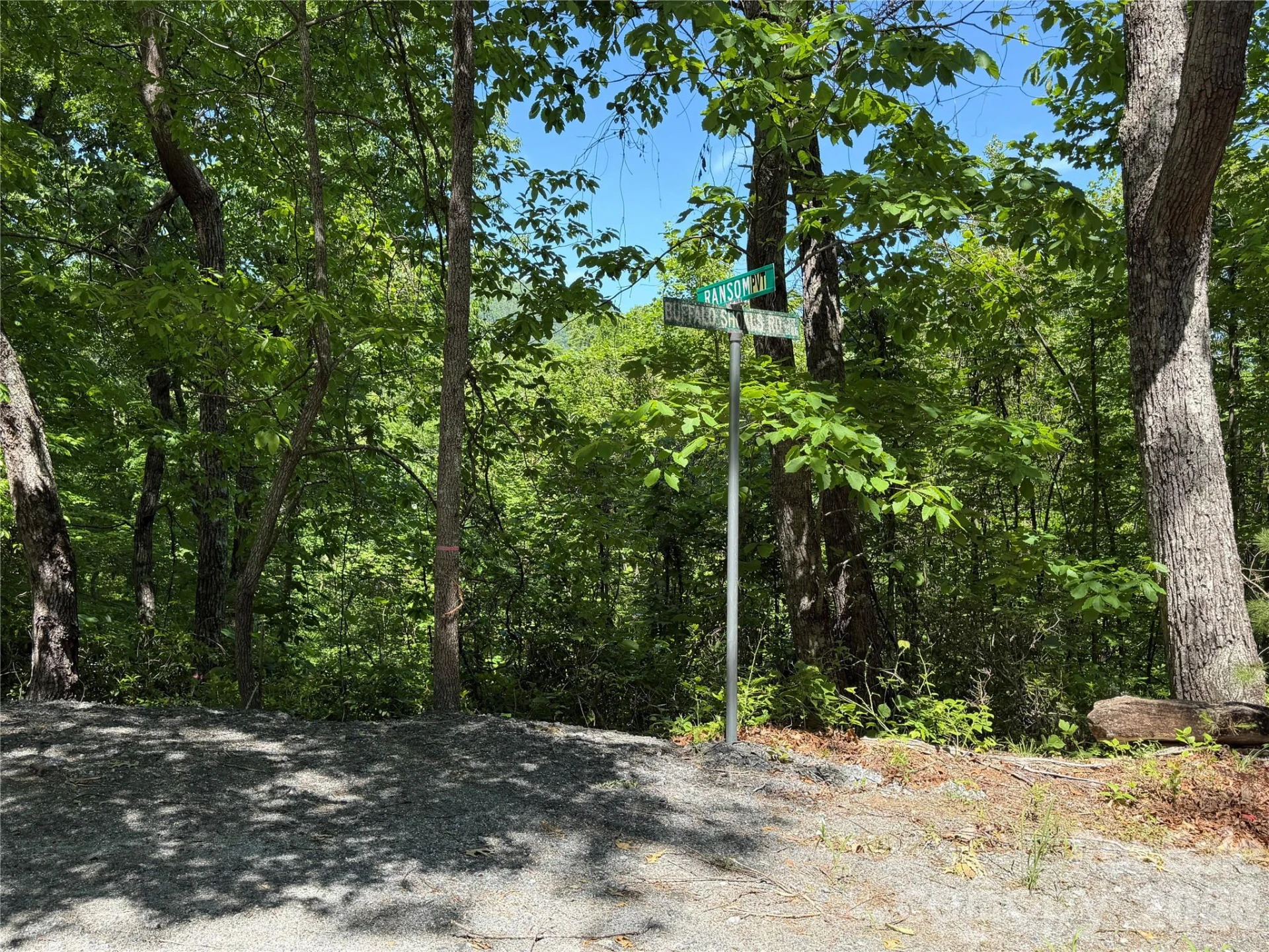 0 Buffalo Shoals Road #1 - Photo 10