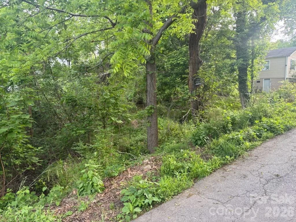 111 Waynesville Avenue - Photo 2