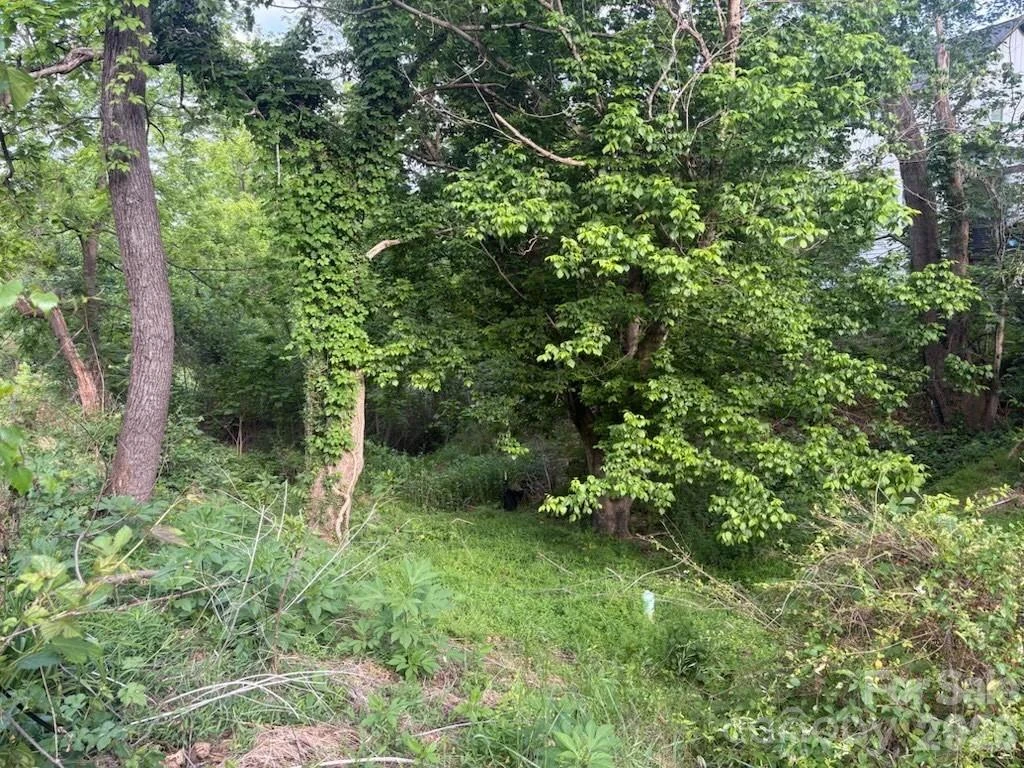 111 Waynesville Avenue - Photo 3