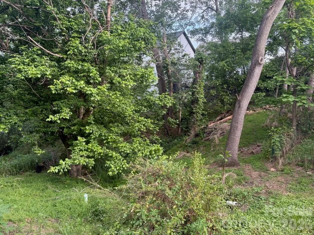 111 Waynesville Avenue - Photo 4