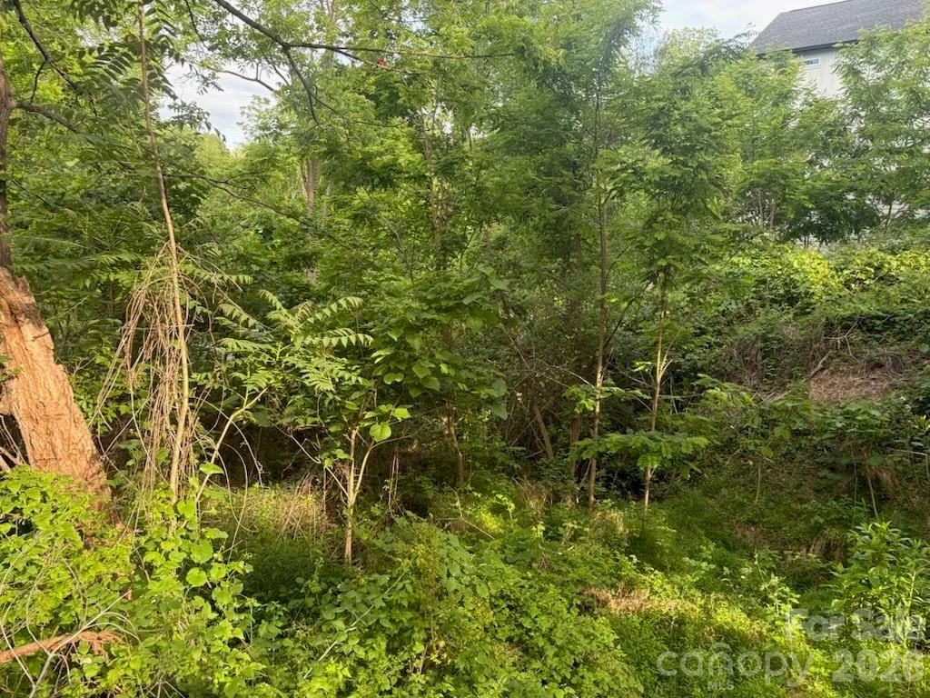 111 Waynesville Avenue - Photo 5