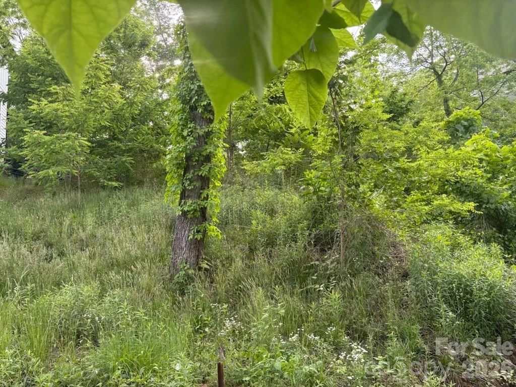 111 Waynesville Avenue - Photo 7