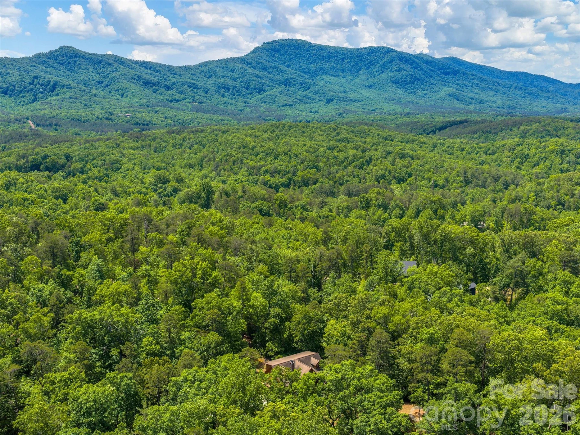 413 Green Hills Road - Photo 48