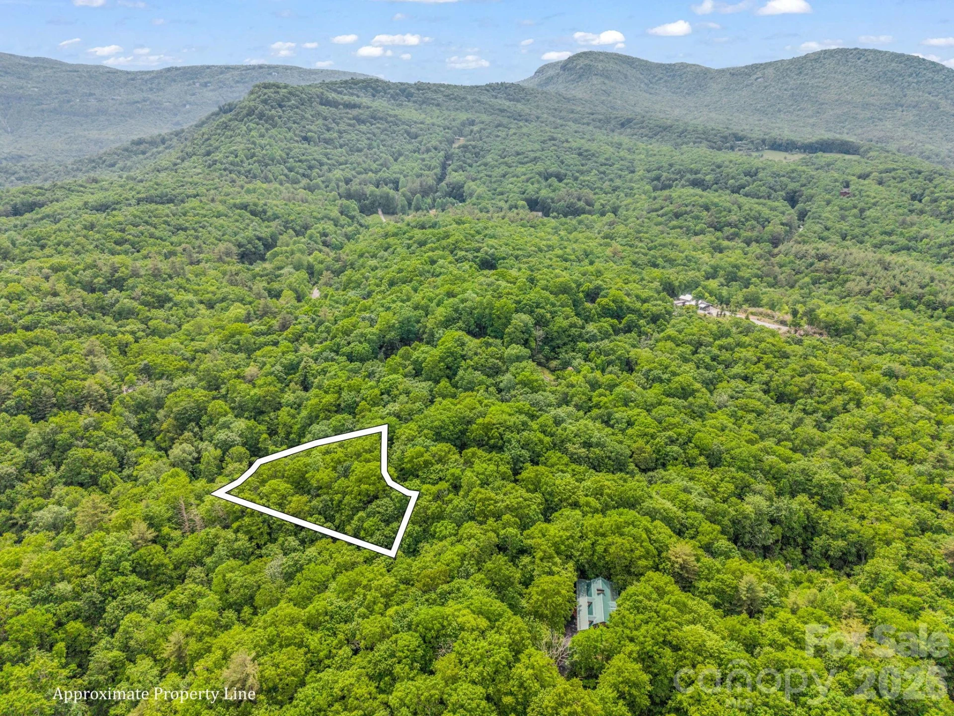 Lot 11,14,15,15a,19,29,33 Toxaway Trail #14/3 - Photo 15