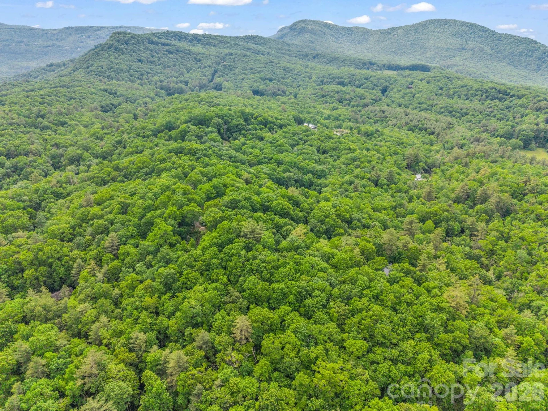 Lot 11,14,15,15a,19,29,33 Toxaway Trail #14/3 - Photo 24