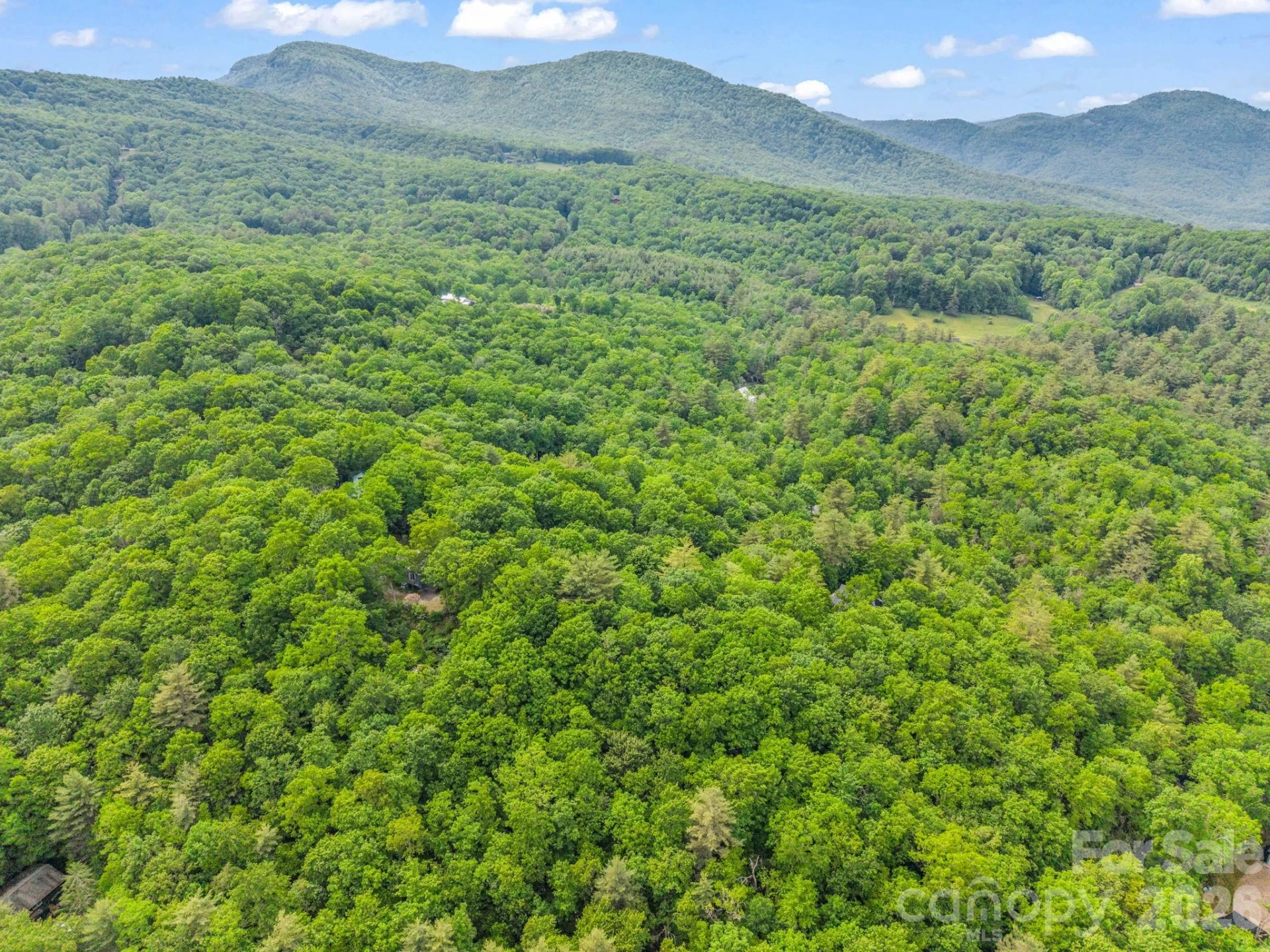 Lot 11,14,15,15a,19,29,33 Toxaway Trail #14/3 - Photo 25