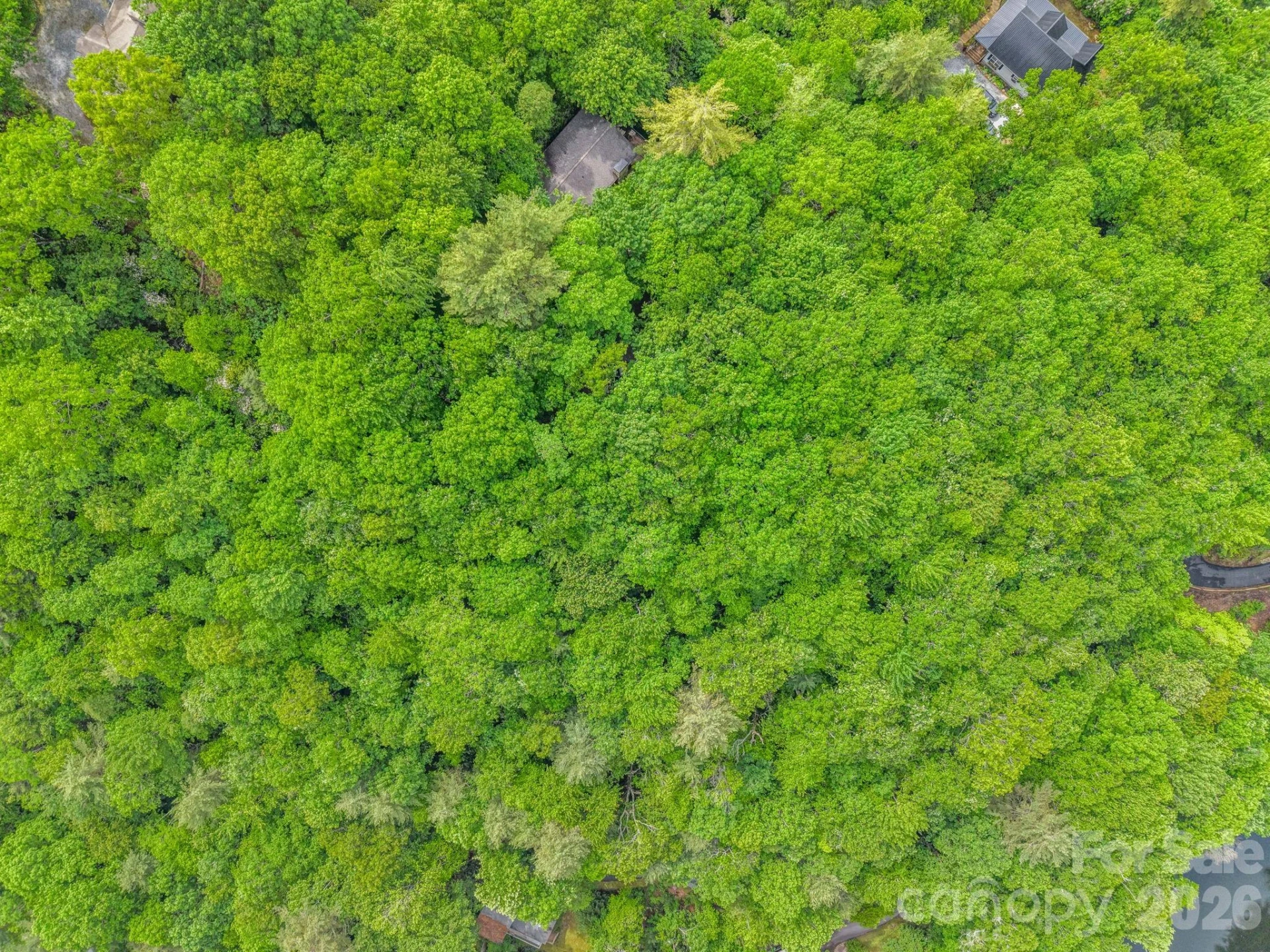 Lot 11,14,15,15a,19,29,33 Toxaway Trail #14/3 - Photo 26