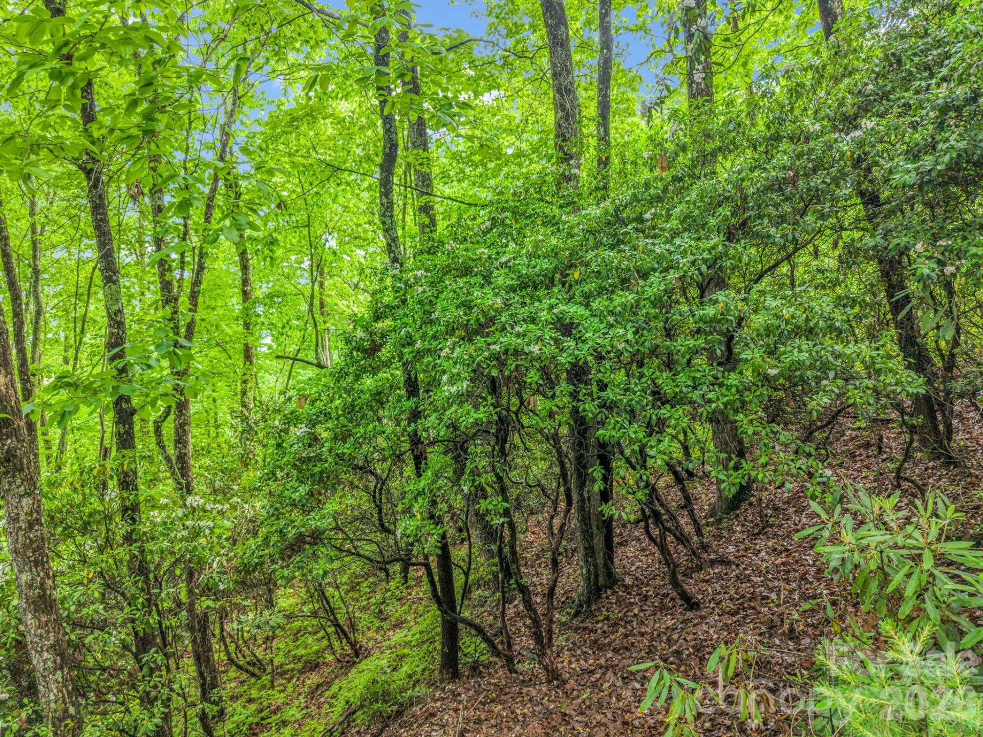 Lot 11,14,15,15a,19,29,33 Toxaway Trail #14/3 - Photo 27