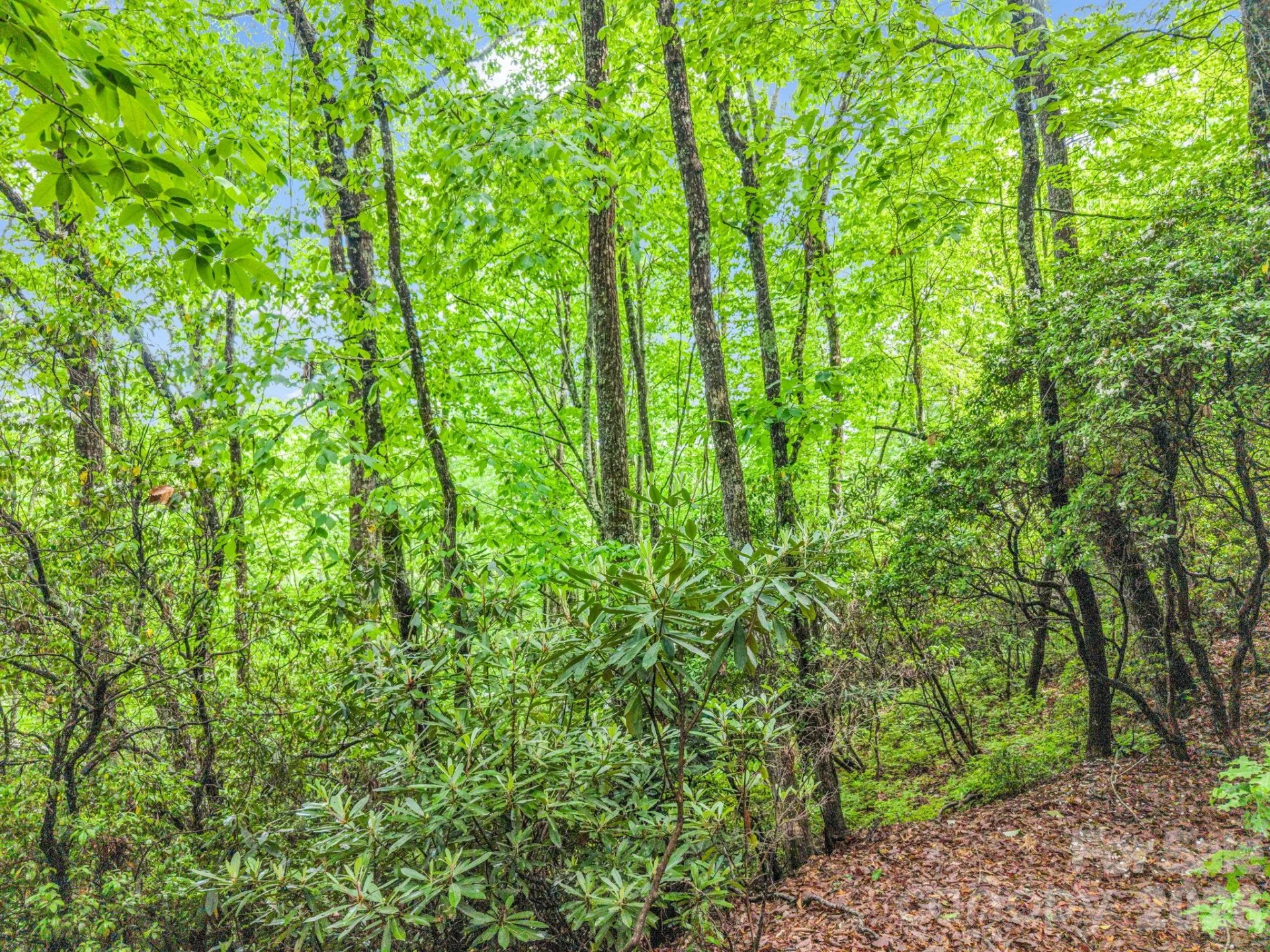 Lot 11,14,15,15a,19,29,33 Toxaway Trail #14/3 - Photo 28