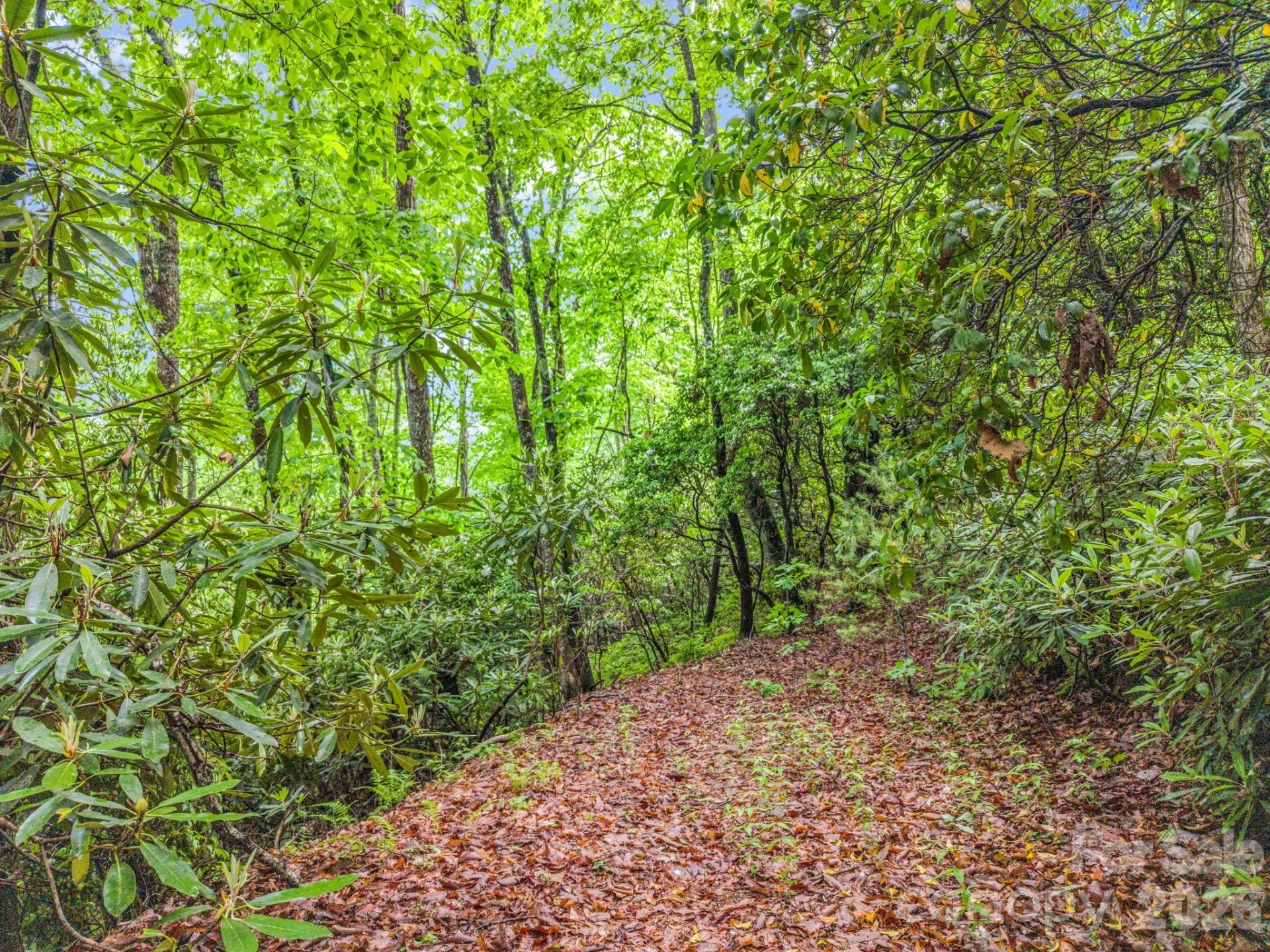 Lot 11,14,15,15a,19,29,33 Toxaway Trail #14/3 - Photo 29