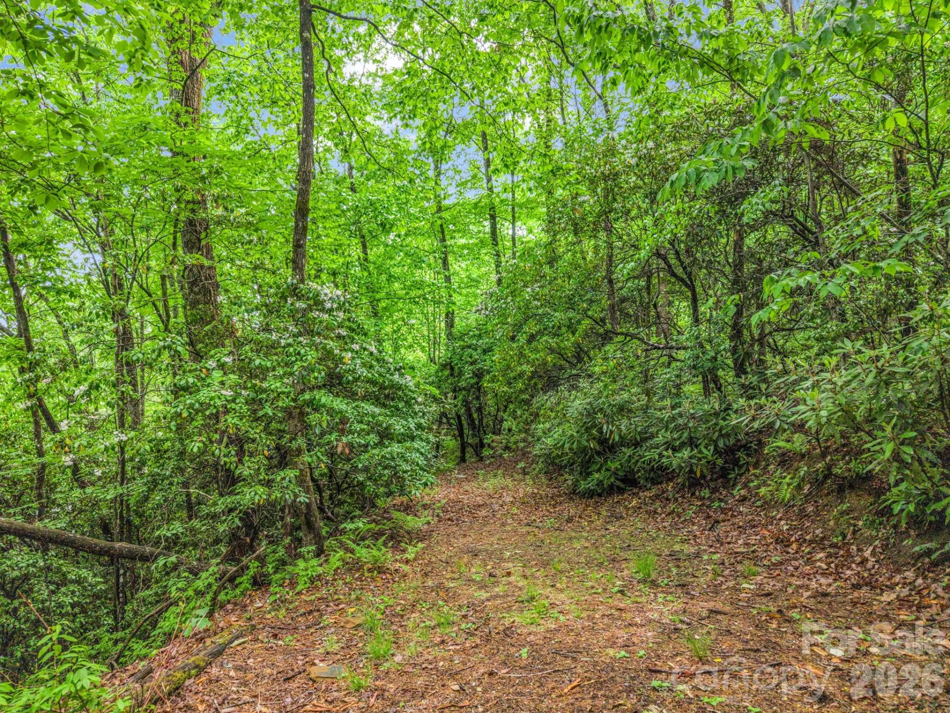 Lot 11,14,15,15a,19,29,33 Toxaway Trail #14/3 - Photo 30