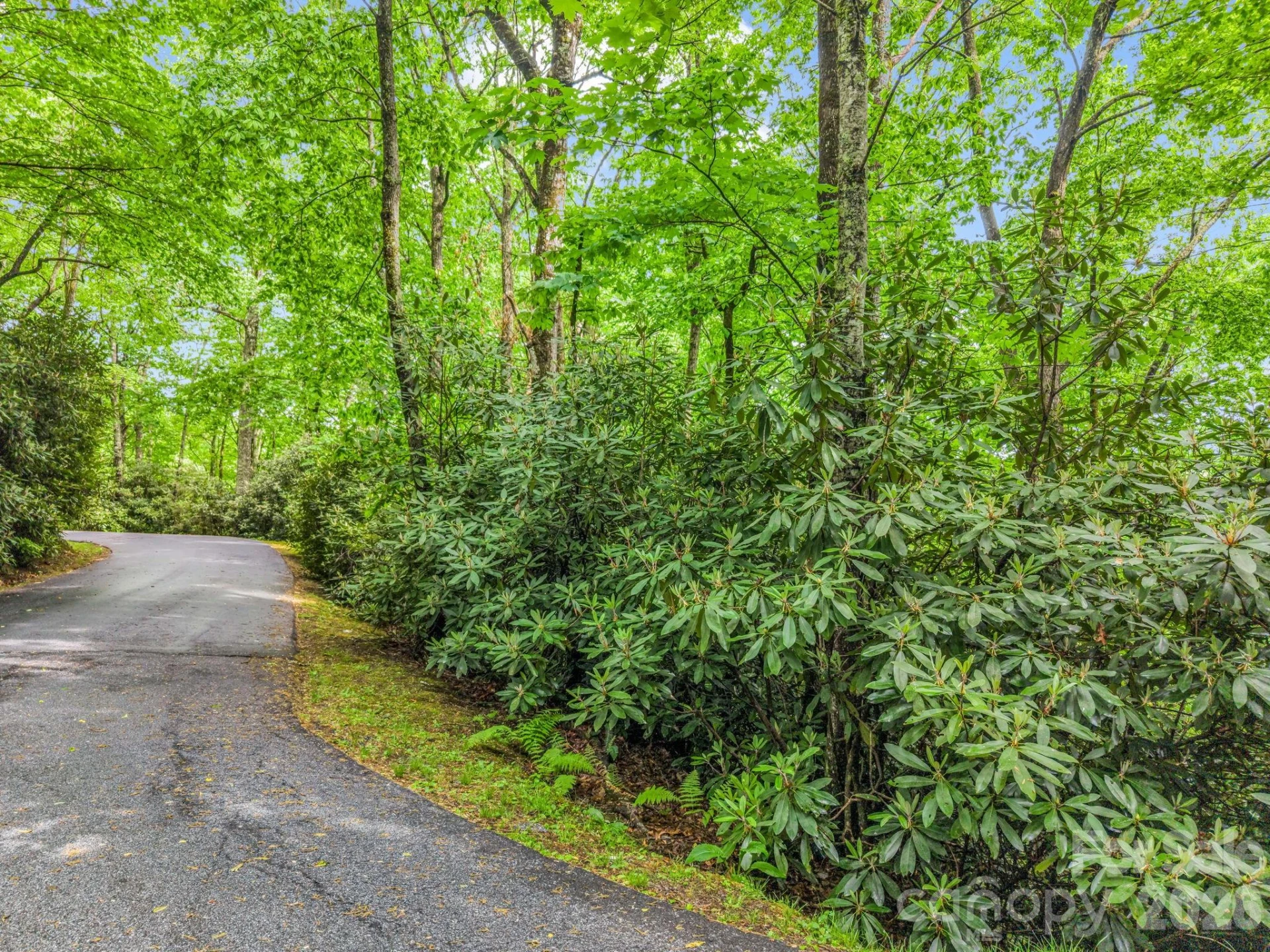 Lot 11,14,15,15a,19,29,33 Toxaway Trail #14/3 - Photo 31