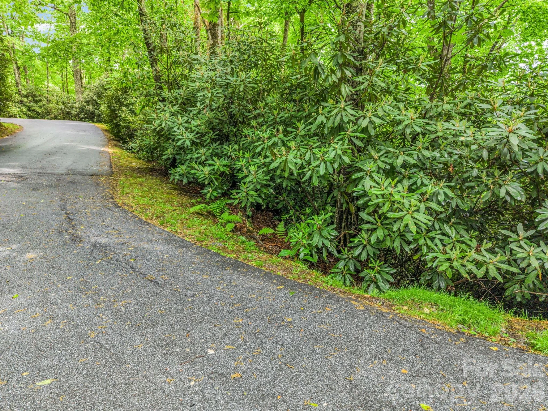 Lot 11,14,15,15a,19,29,33 Toxaway Trail #14/3 - Photo 33