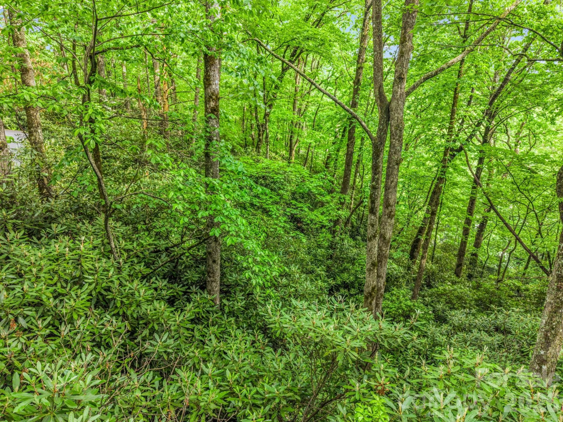 Lot 11,14,15,15a,19,29,33 Toxaway Trail #14/3 - Photo 34