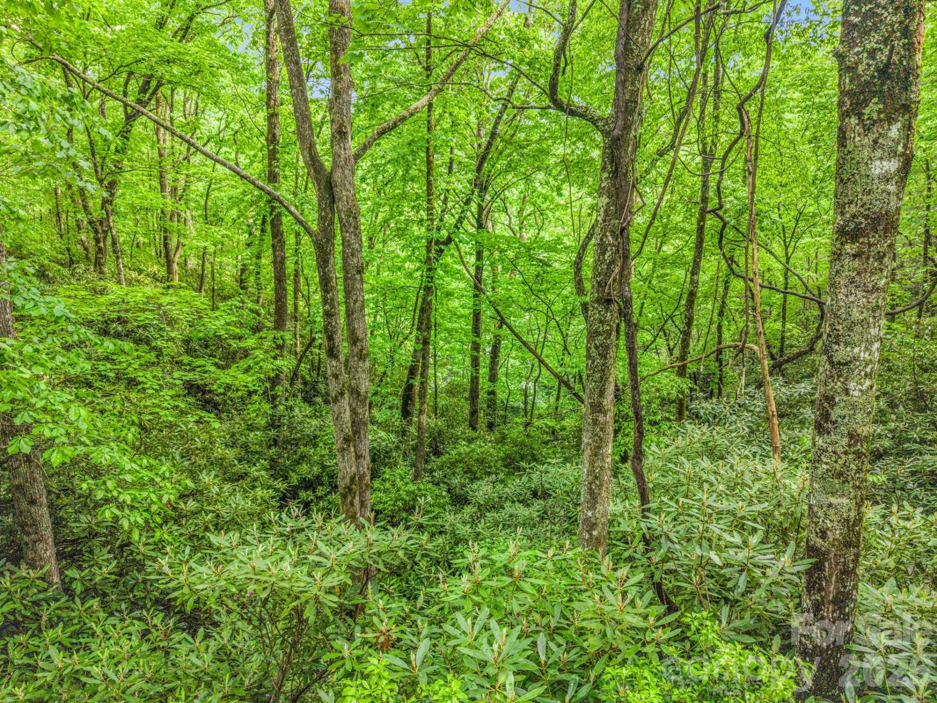 Lot 11,14,15,15a,19,29,33 Toxaway Trail #14/3 - Photo 36