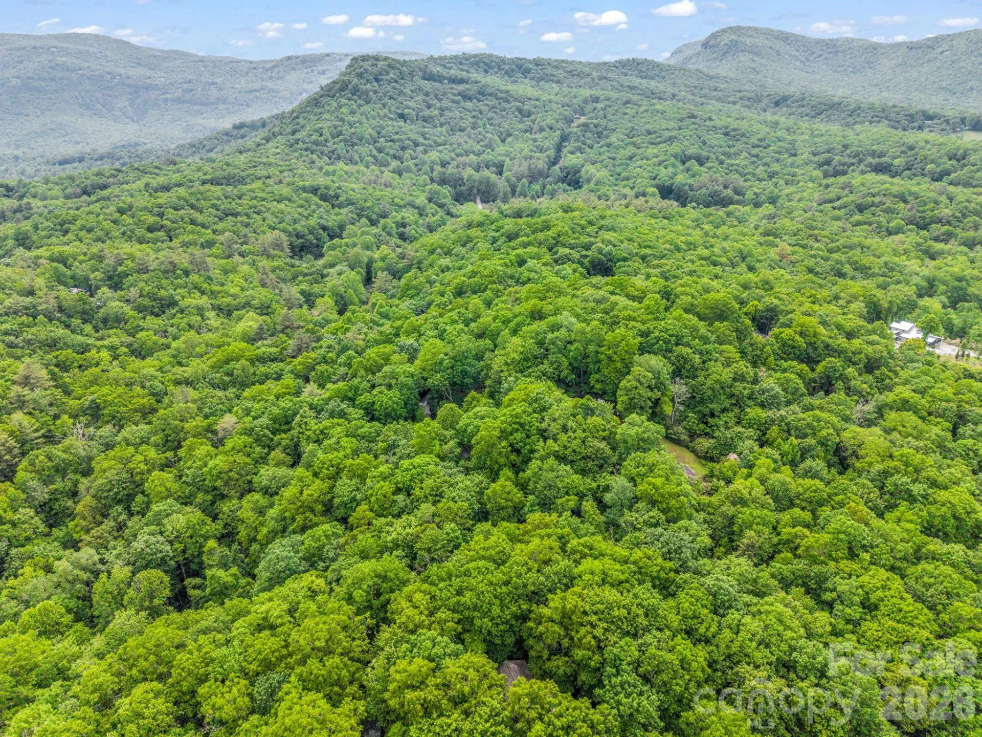 Lot 11,14,15,15a,19,29,33 Toxaway Trail #14/3 - Photo 39