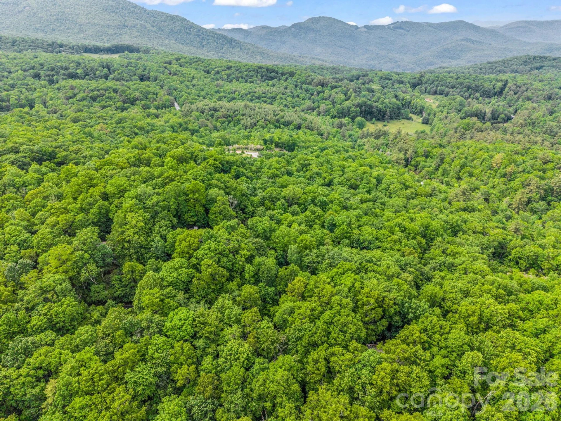 Lot 11,14,15,15a,19,29,33 Toxaway Trail #14/3 - Photo 40