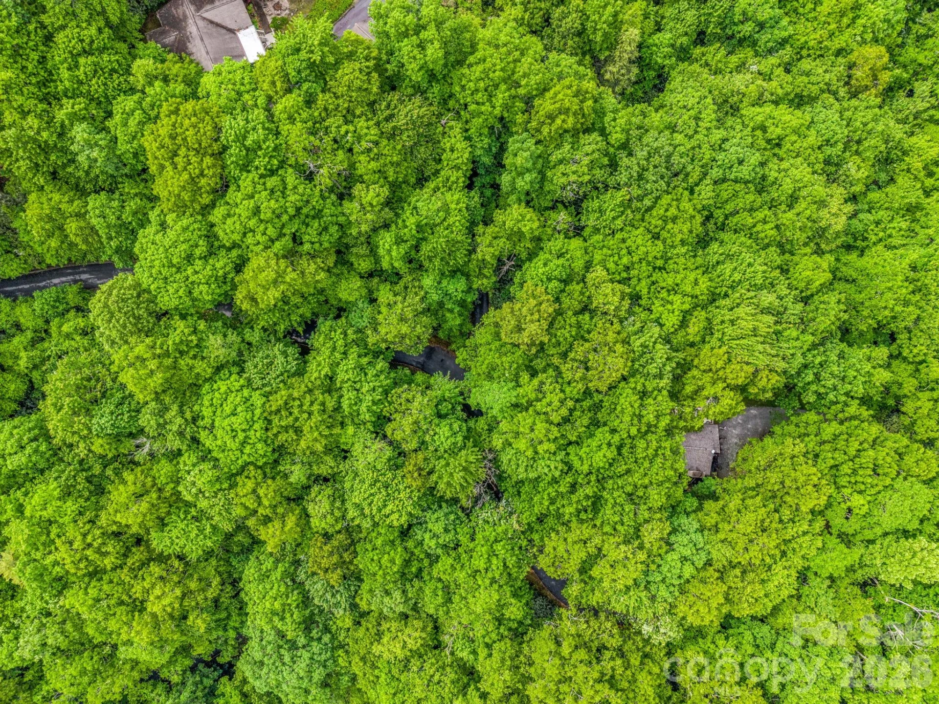Lot 11,14,15,15a,19,29,33 Toxaway Trail #14/3 - Photo 41