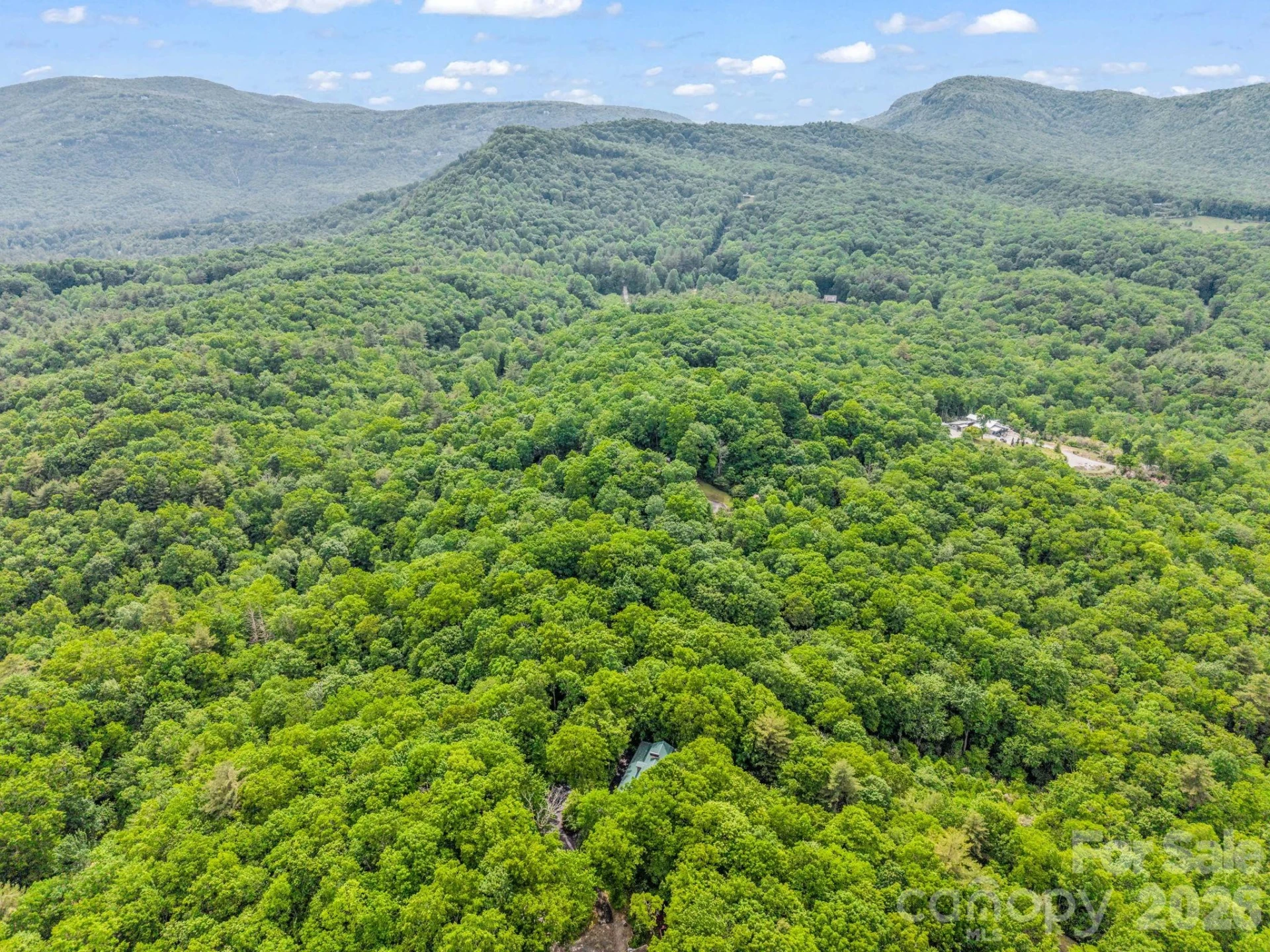 Lot 11,14,15,15a,19,29,33 Toxaway Trail #14/3 - Photo 44