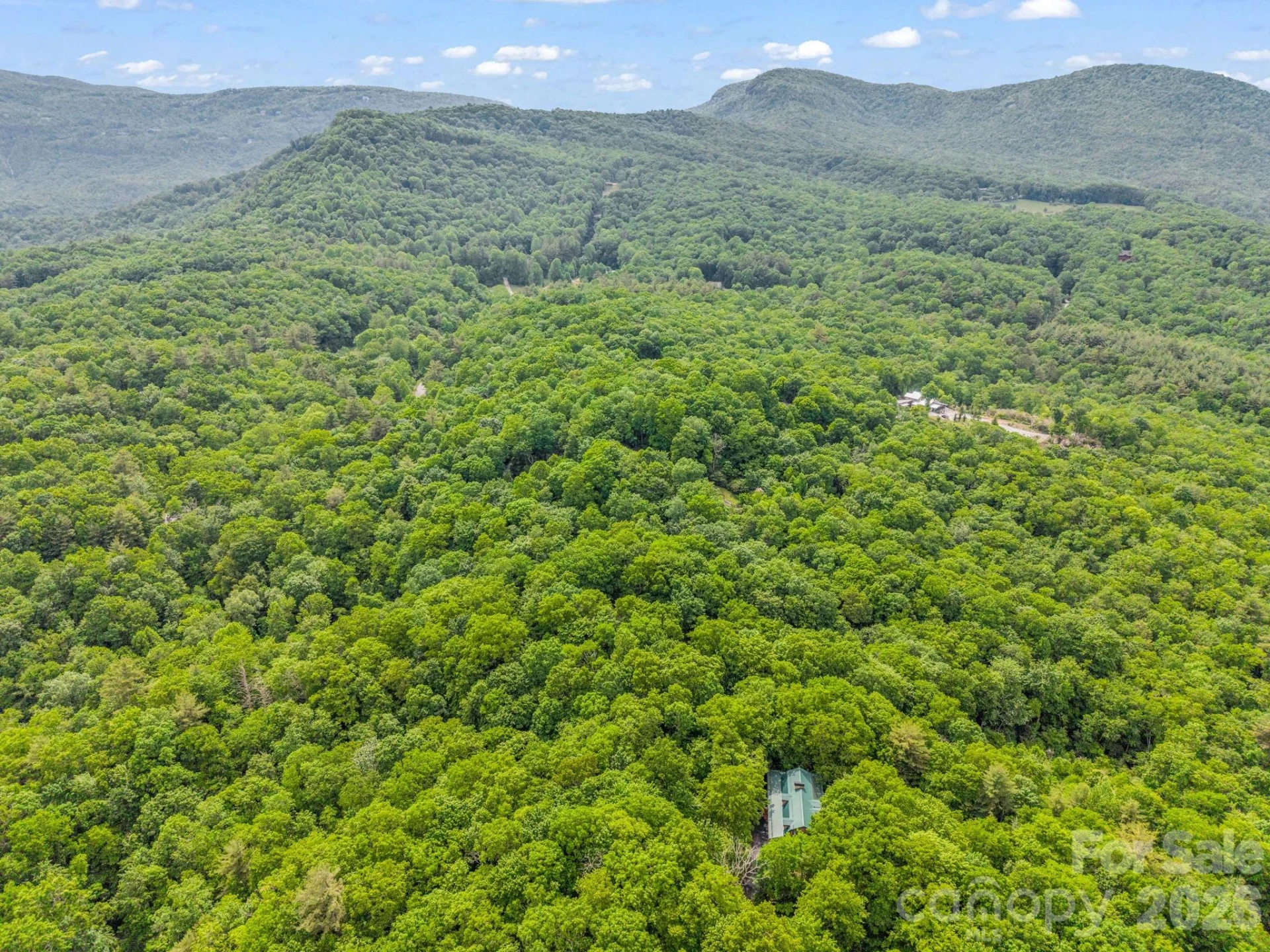 Lot 11,14,15,15a,19,29,33 Toxaway Trail #14/3 - Photo 45