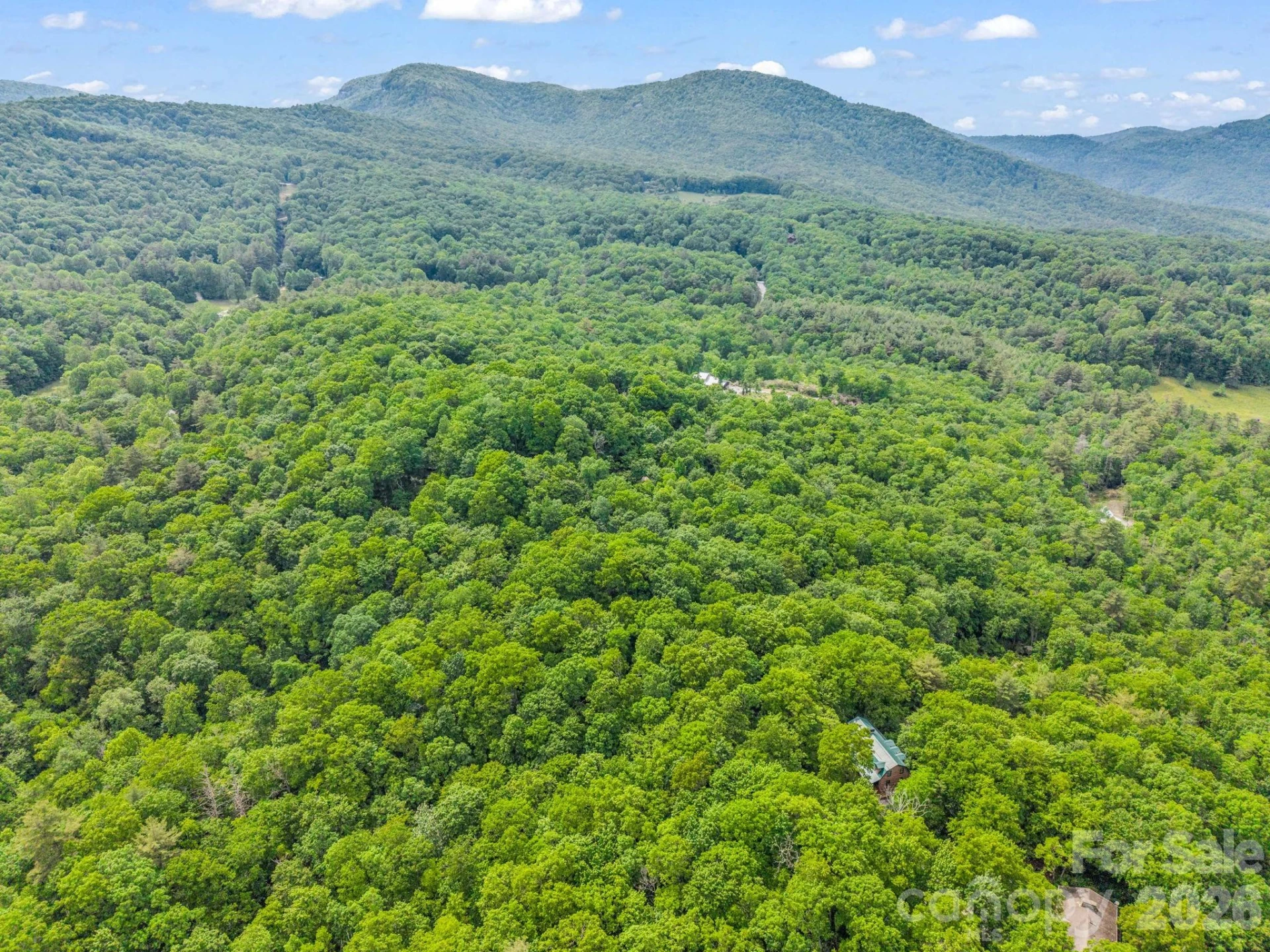 Lot 11,14,15,15a,19,29,33 Toxaway Trail #14/3 - Photo 46