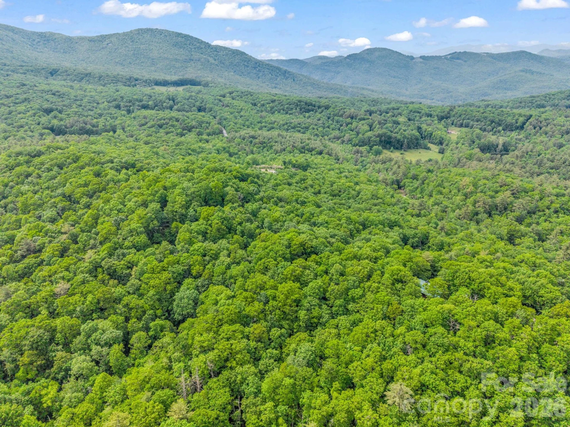 Lot 11,14,15,15a,19,29,33 Toxaway Trail #14/3 - Photo 47