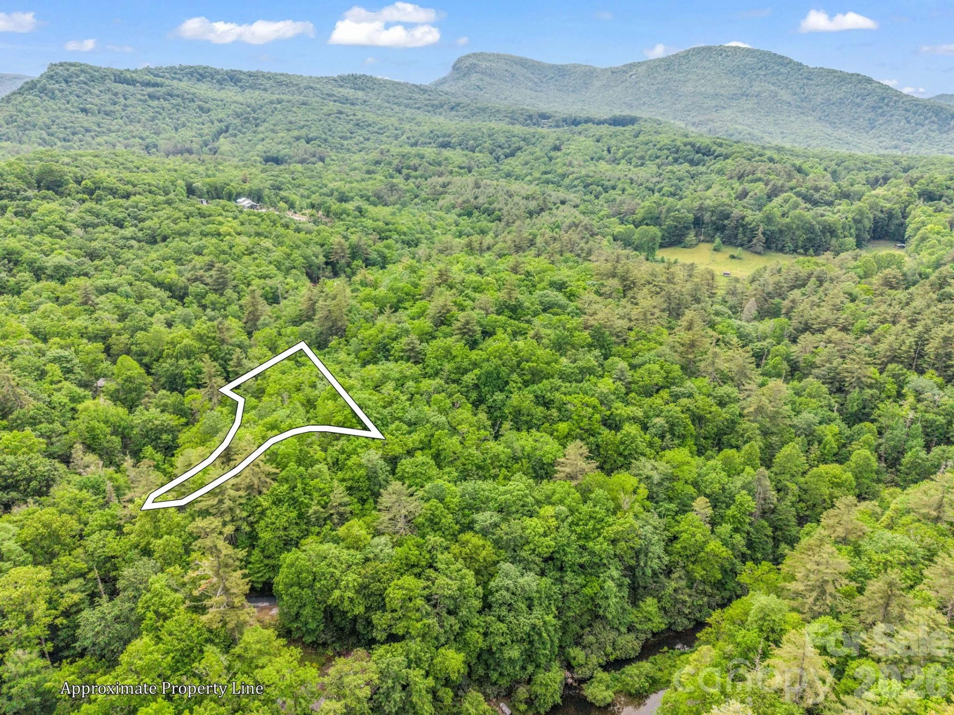 Lot 11,14,15,15a,19,29,33 Toxaway Trail #14/3 - Photo 8