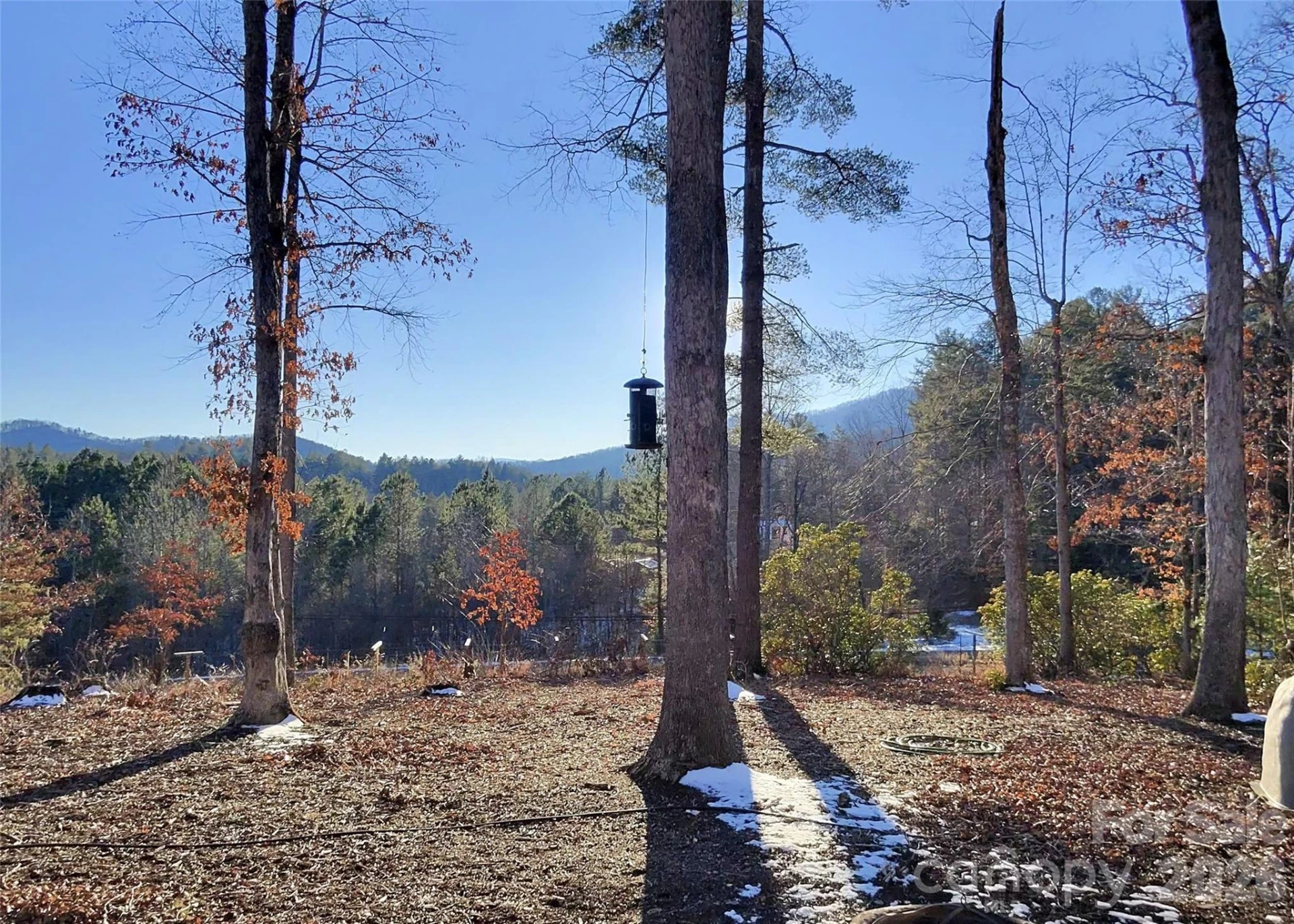 670 Cedar Creek Road - Photo 2