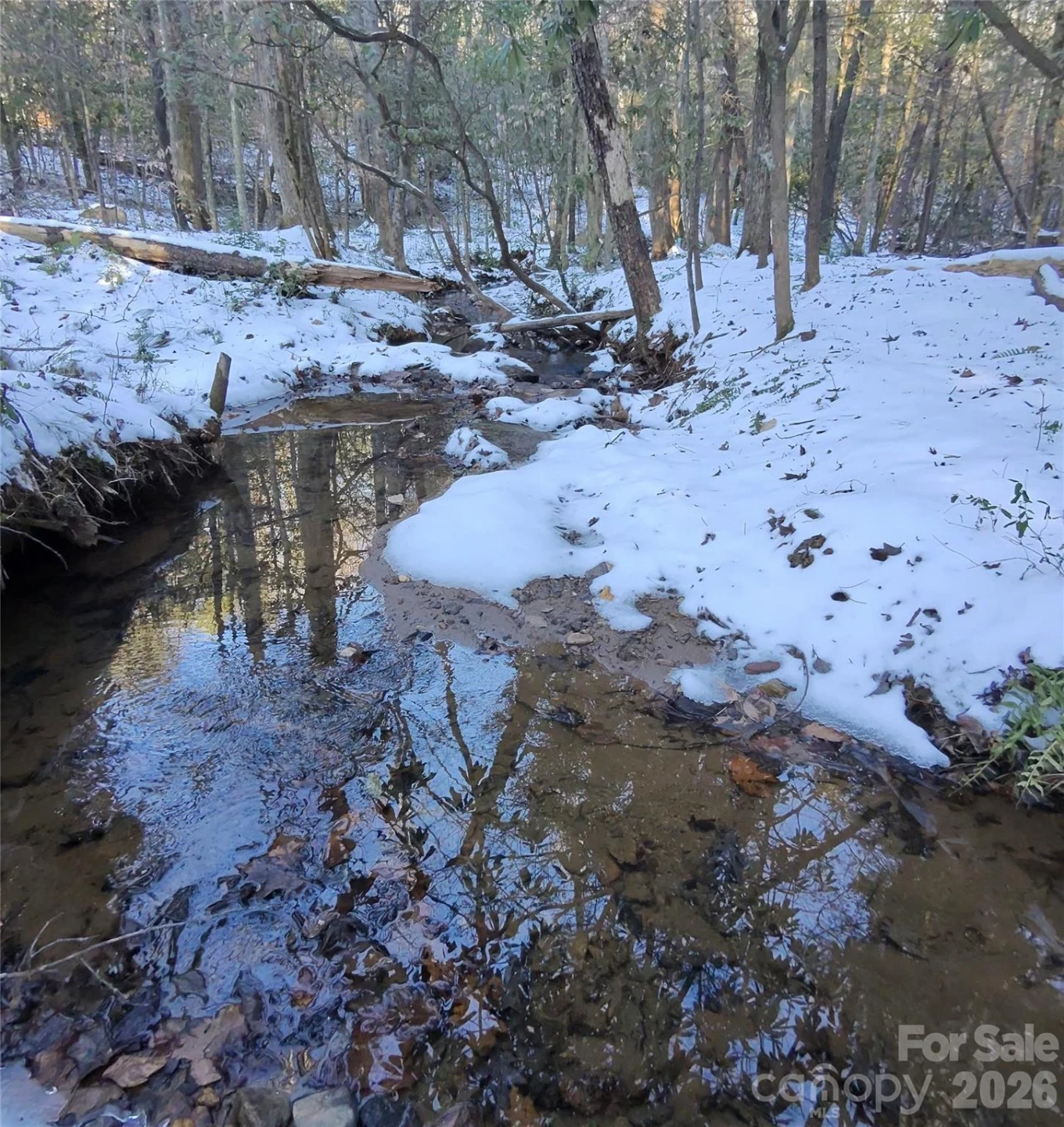 670 Cedar Creek Road - Photo 5