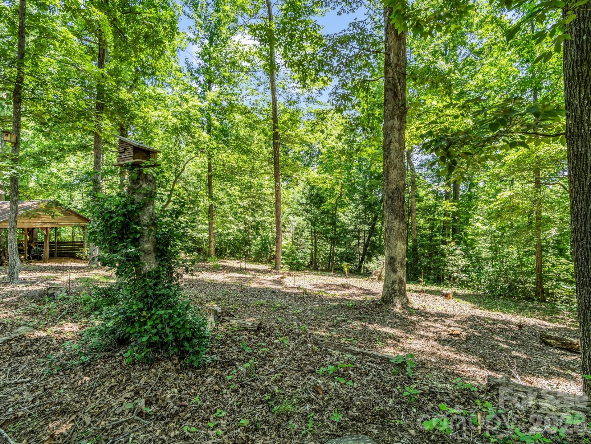 670 Cedar Creek Road - Photo 36