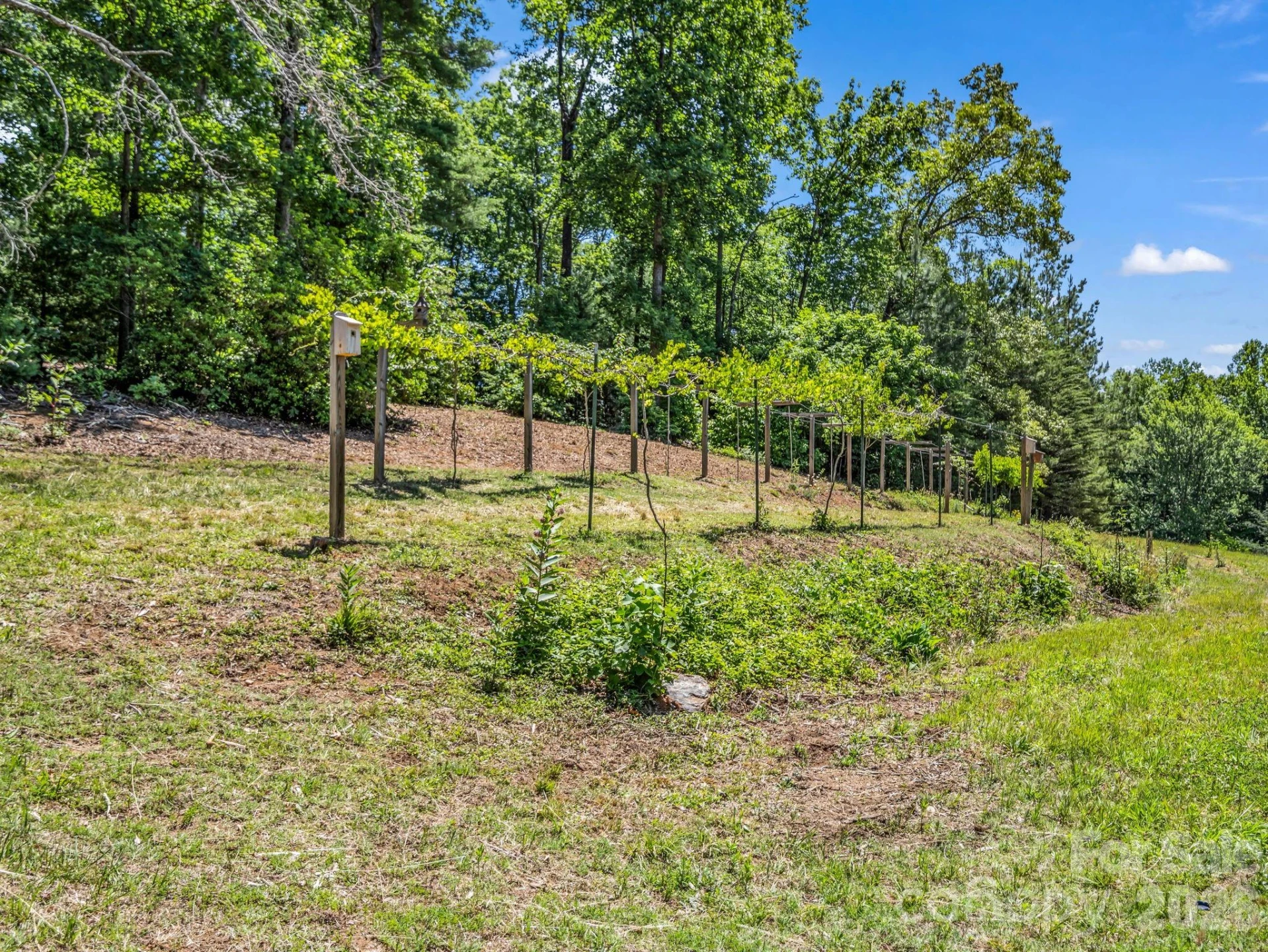 670 Cedar Creek Road - Photo 38