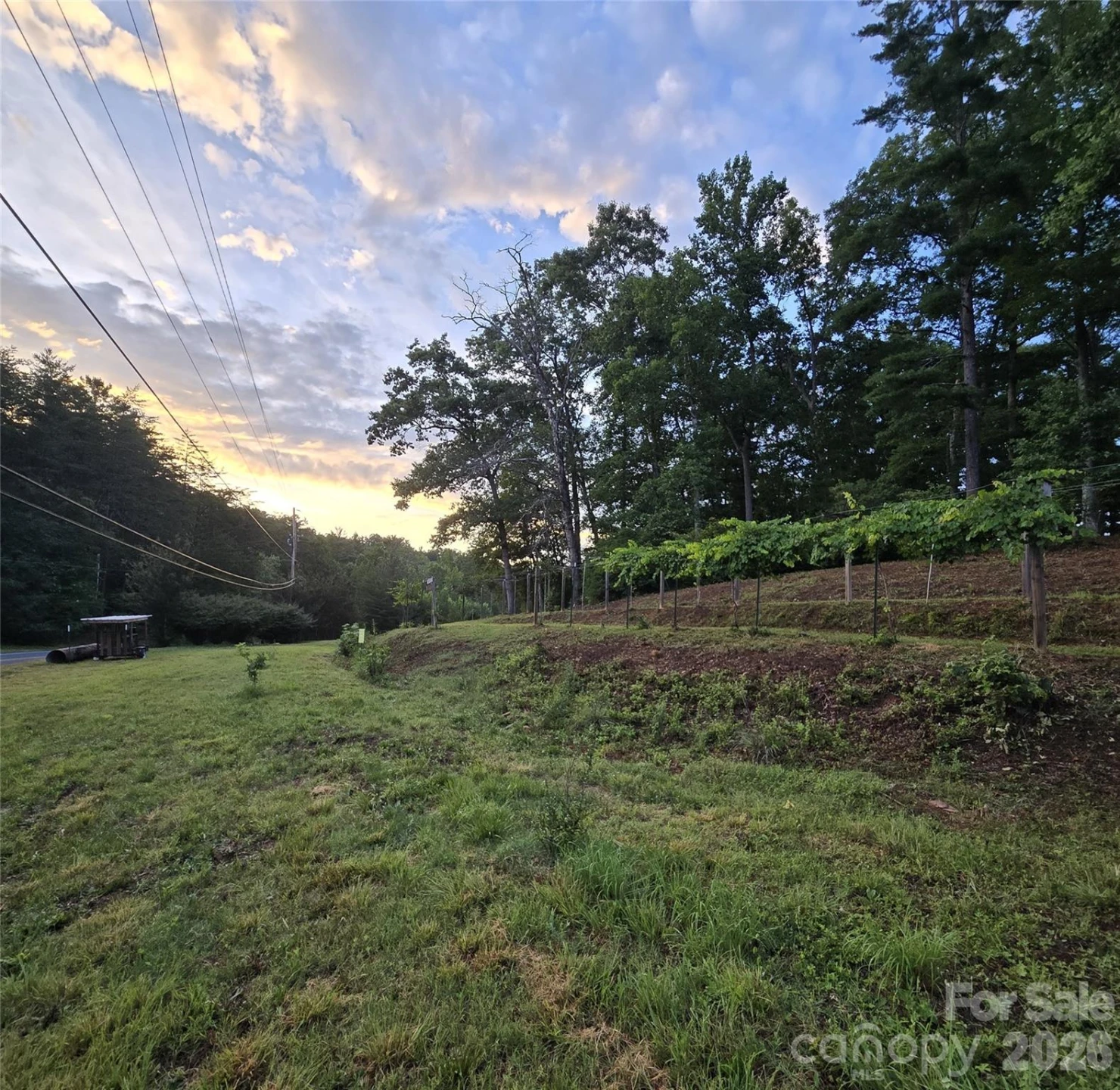 670 Cedar Creek Road - Photo 43