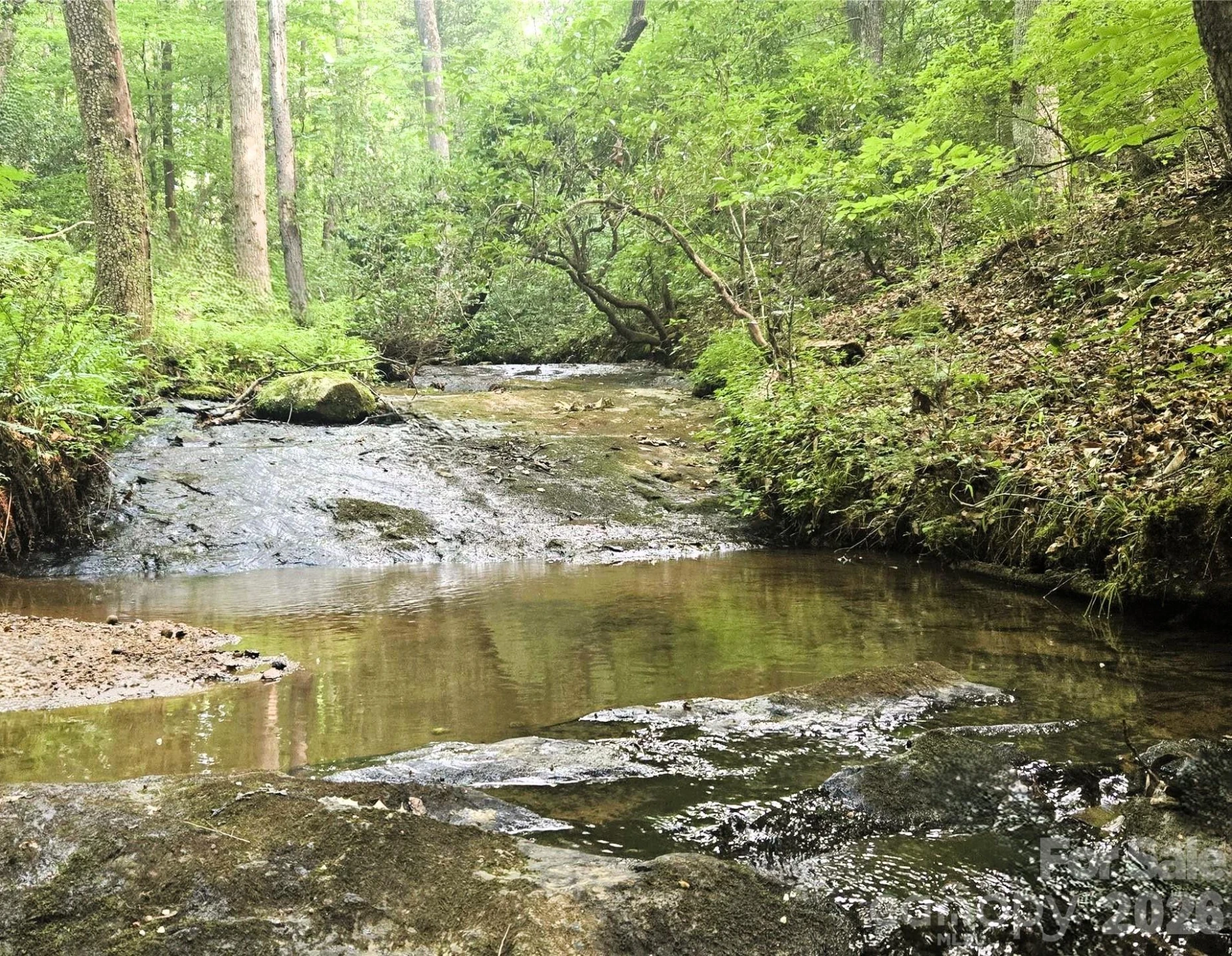 670 Cedar Creek Road - Photo 4