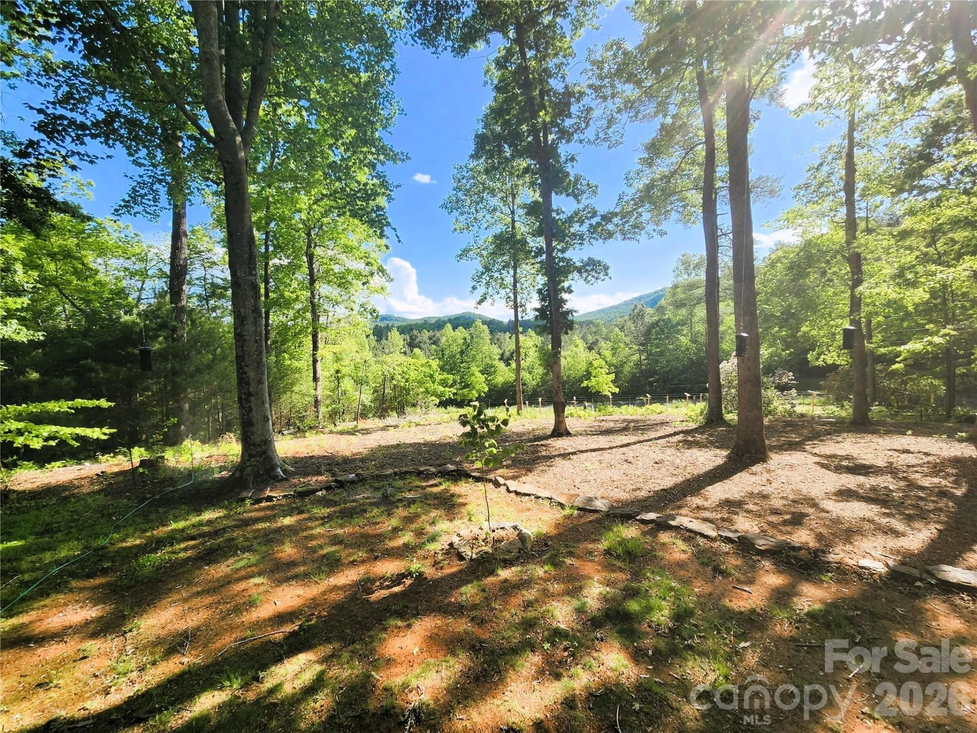 670 Cedar Creek Road - Photo 10