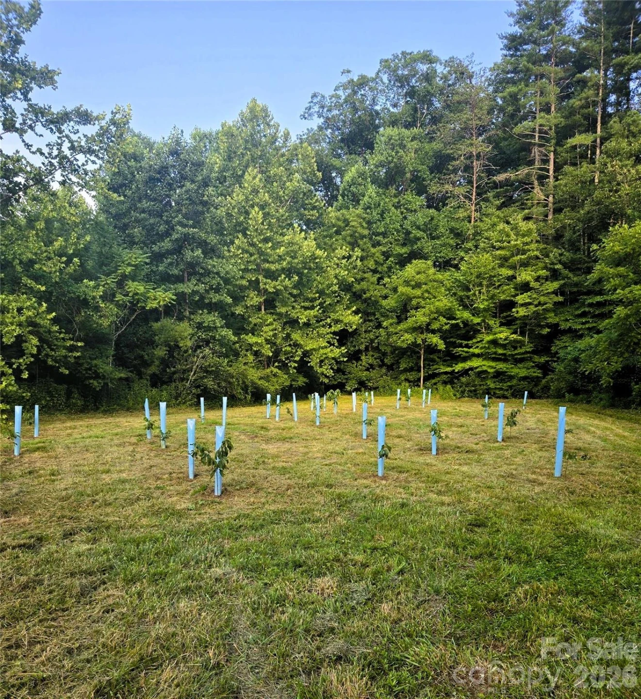 670 Cedar Creek Road - Photo 17