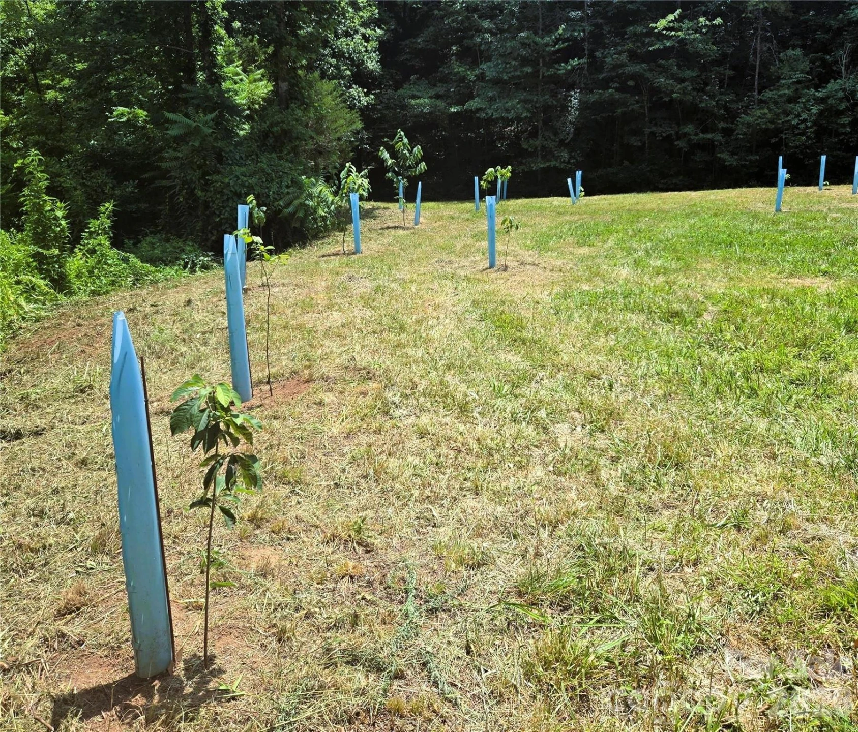 670 Cedar Creek Road - Photo 19