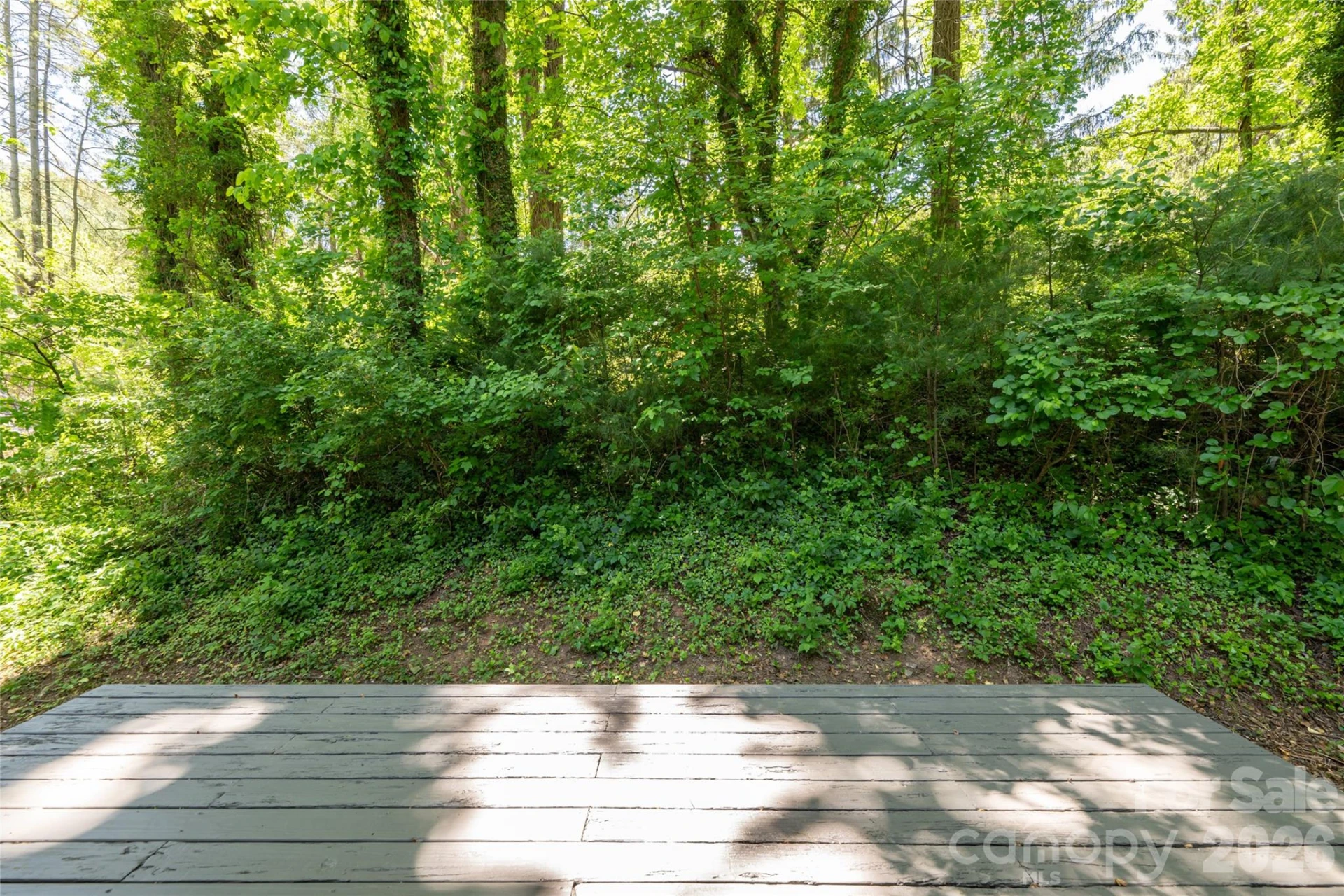 1 Beaverdam Knoll Road - Photo 34