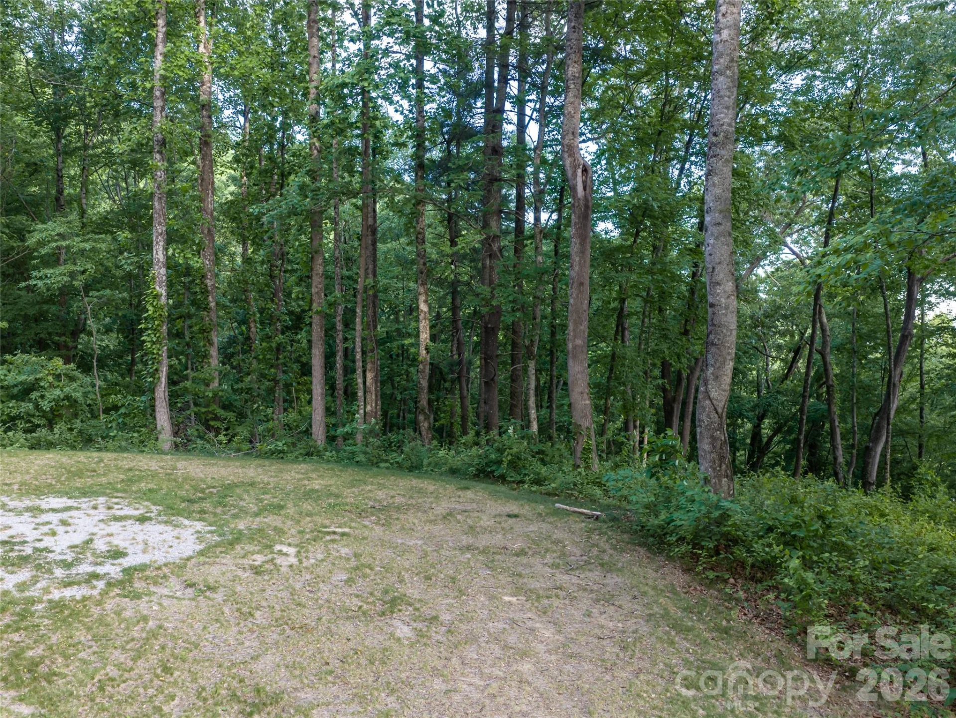 000 New Sprout Lane #2 - Photo 26